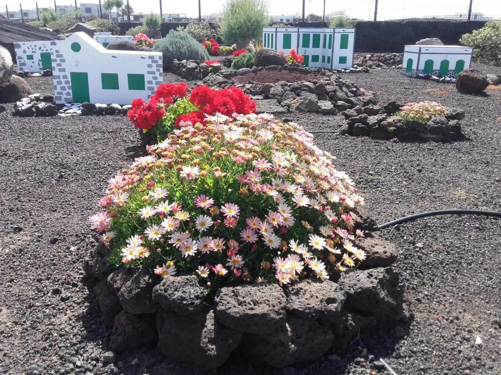 Garden view in VIK Coral Beach