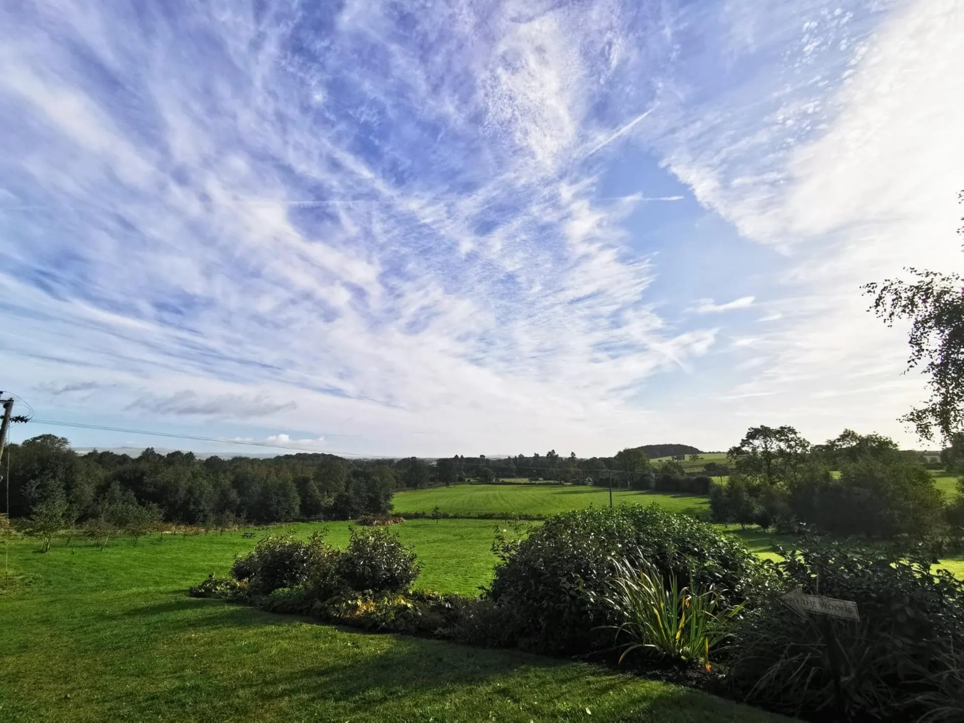 View (from property/room) in Stirk House Hotel