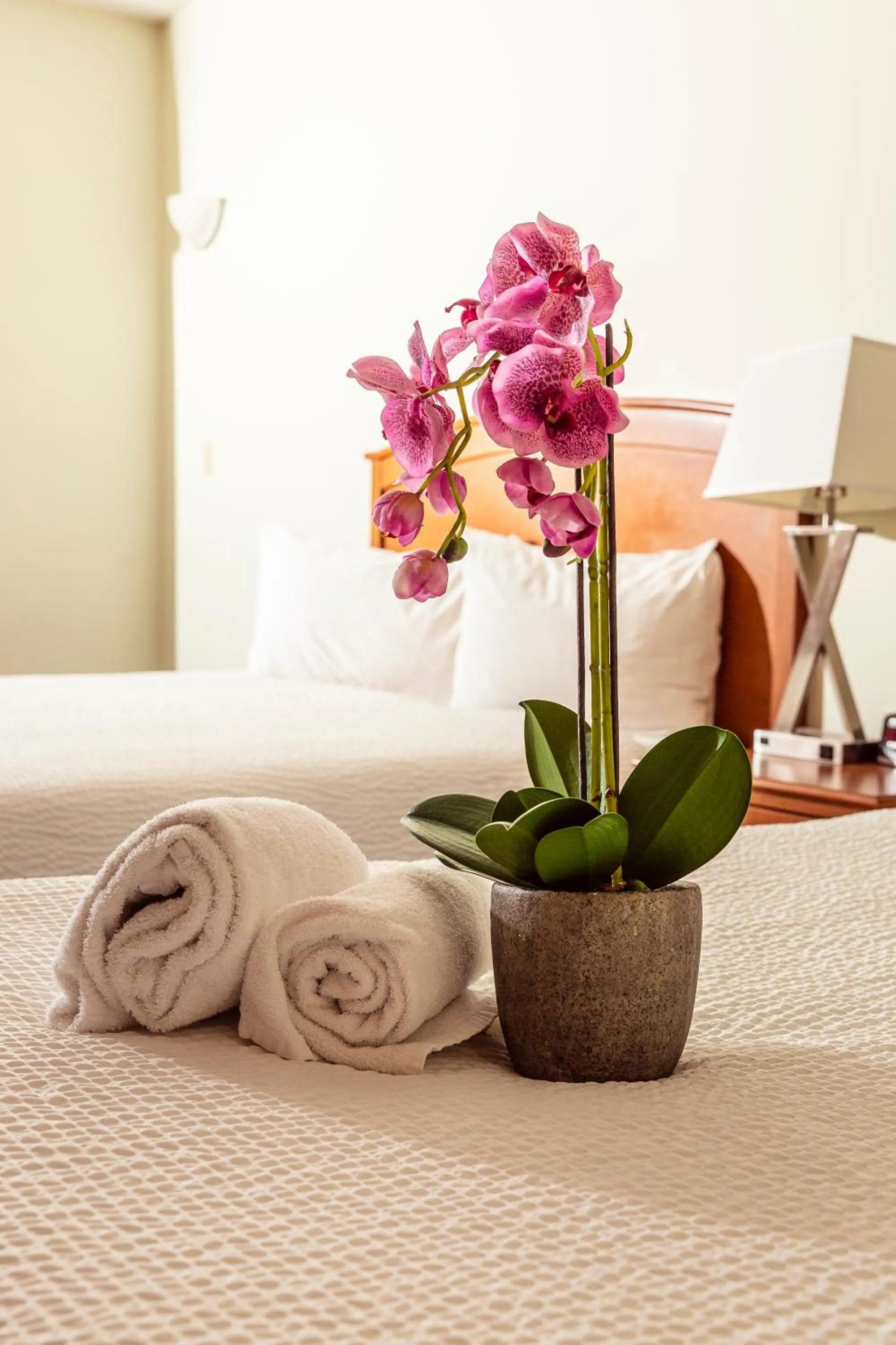 Bed in Service Plus Inns and Suites Calgary