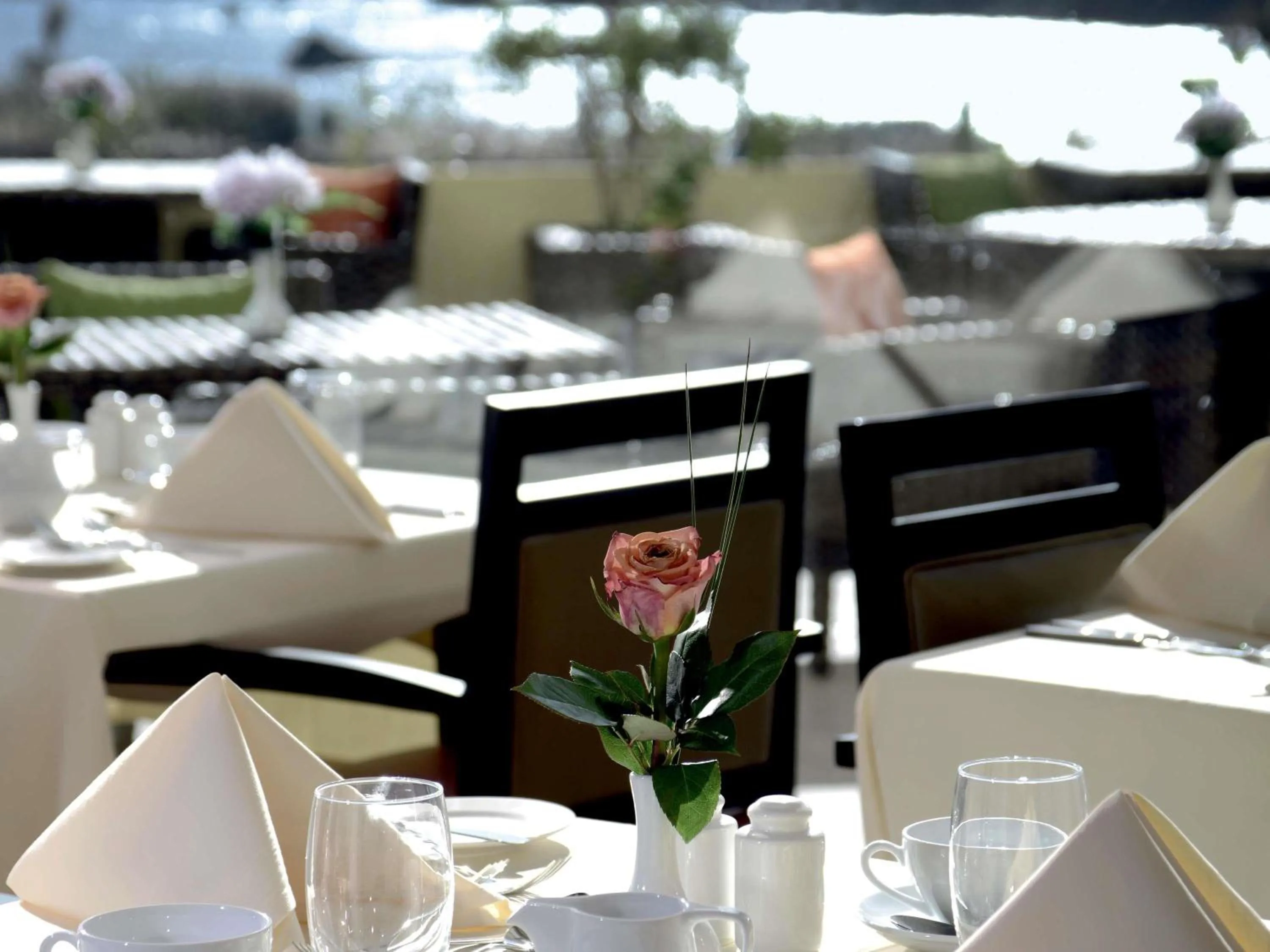 Restaurant/places to eat in Mövenpick Resort Aswan