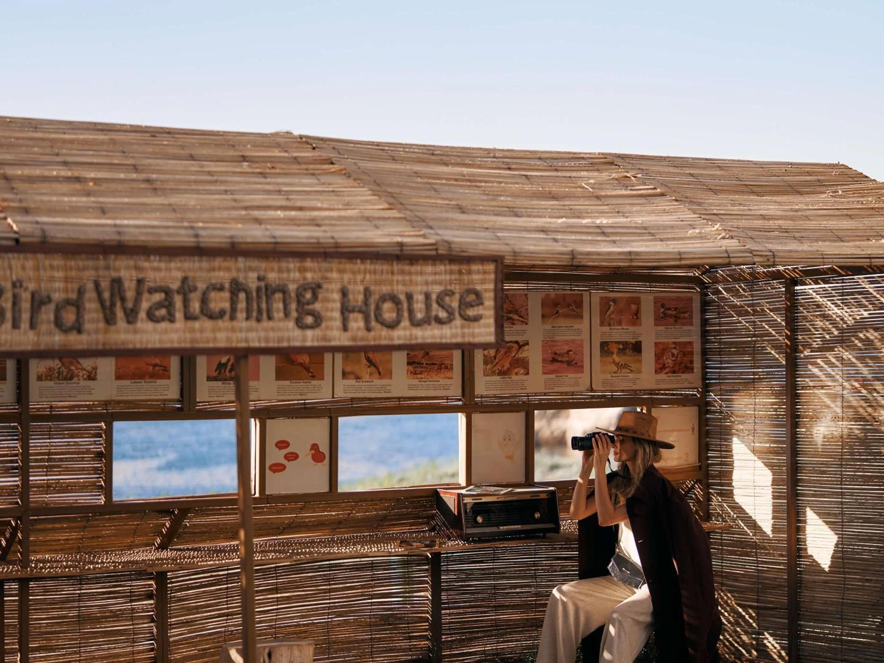 Other in Mövenpick Resort Aswan