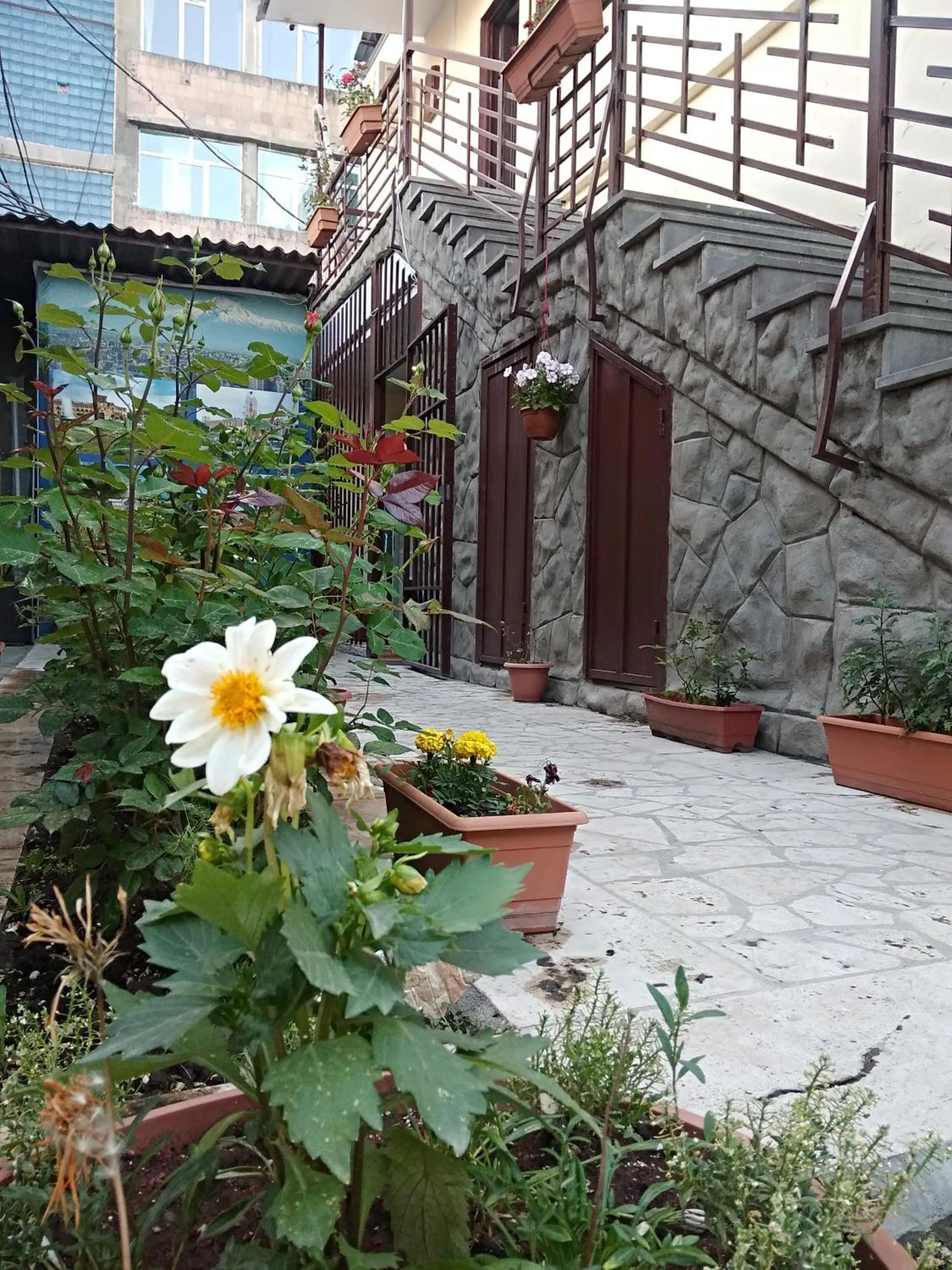 Property building in Komitas Avenue Guest House