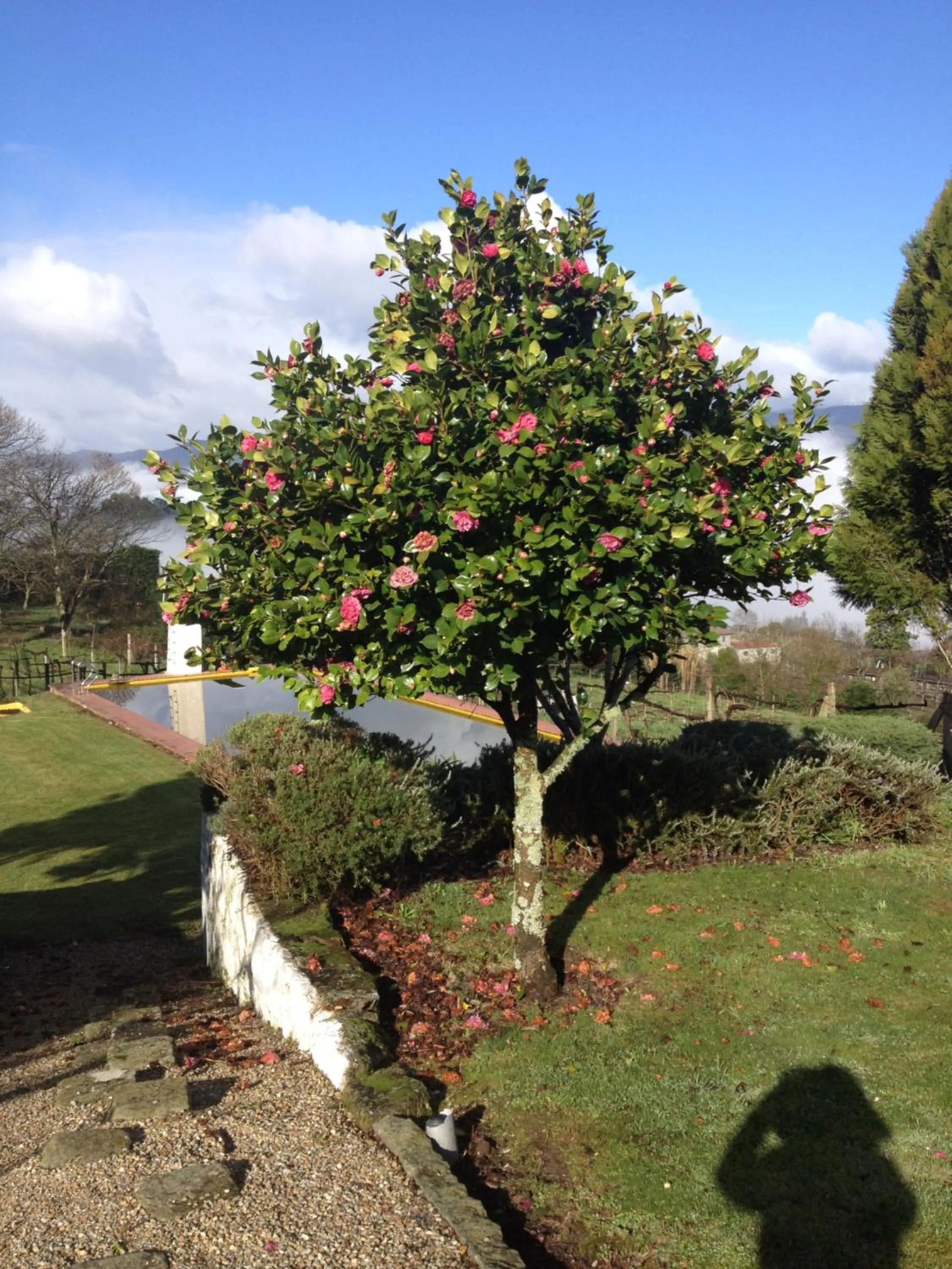 Swimming pool in Quinta da Calçada