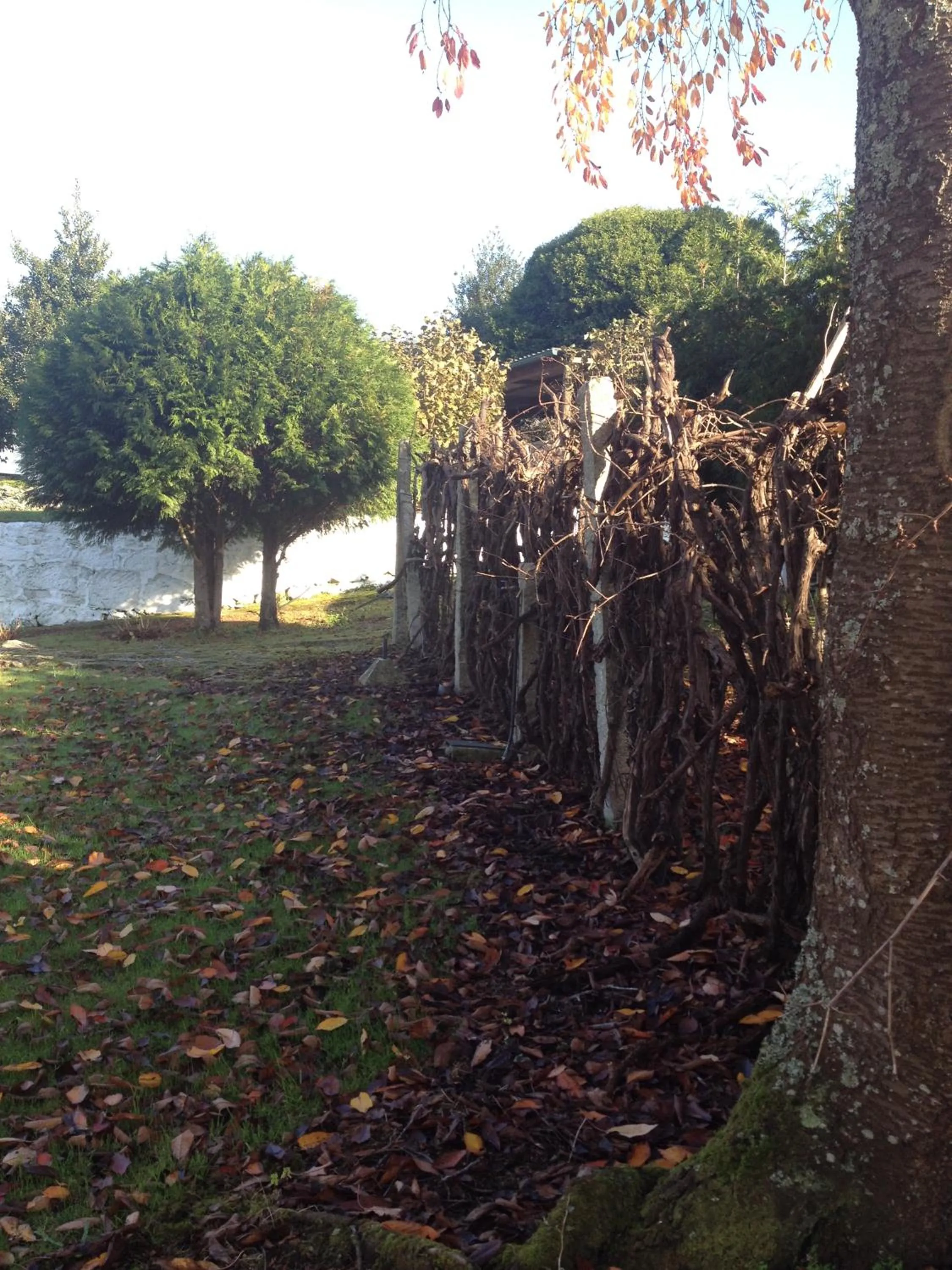 View (from property/room) in Quinta da Calçada