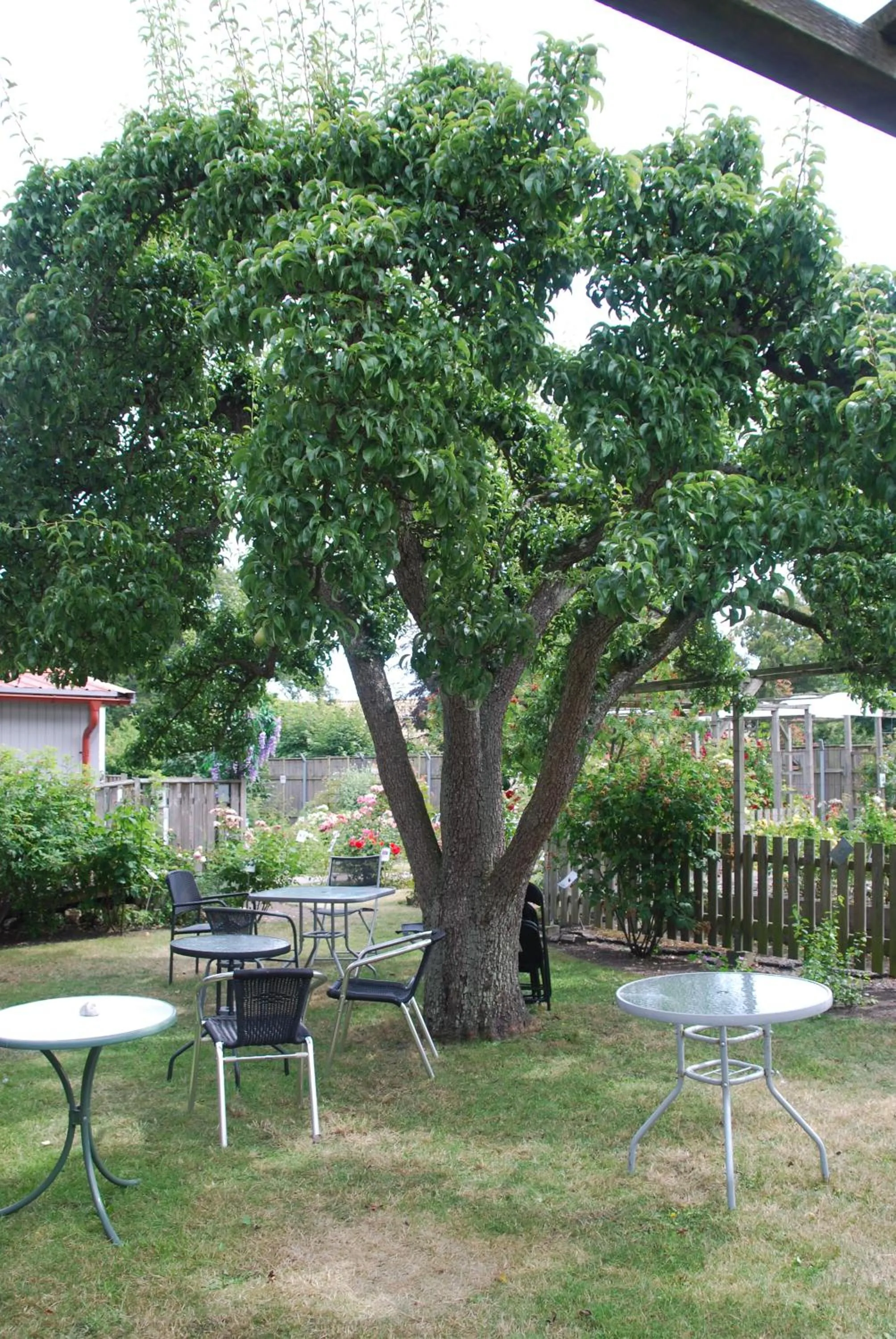 Hotell Turistgården i Simrishamn