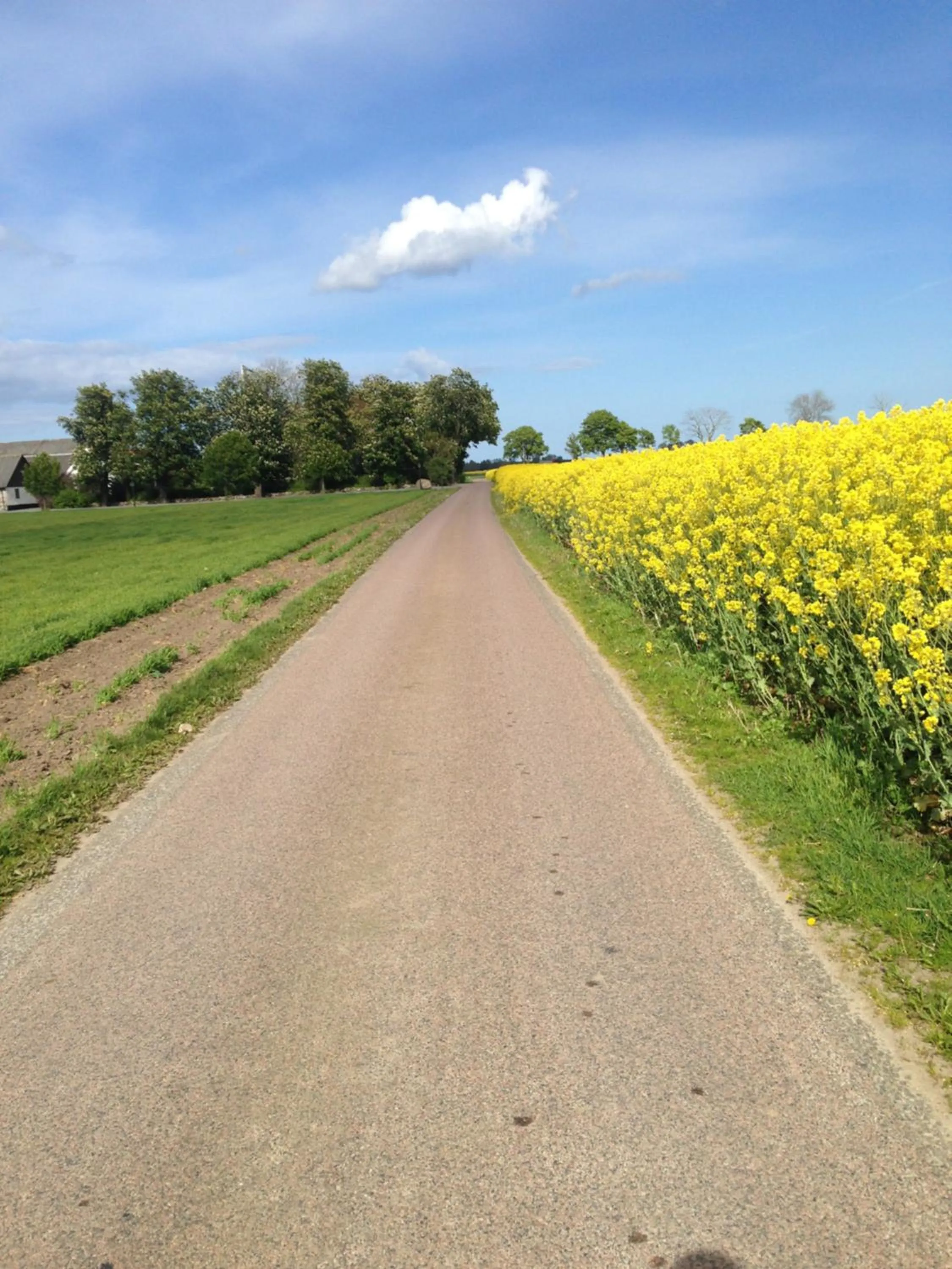 Hotell Turistgården i Simrishamn