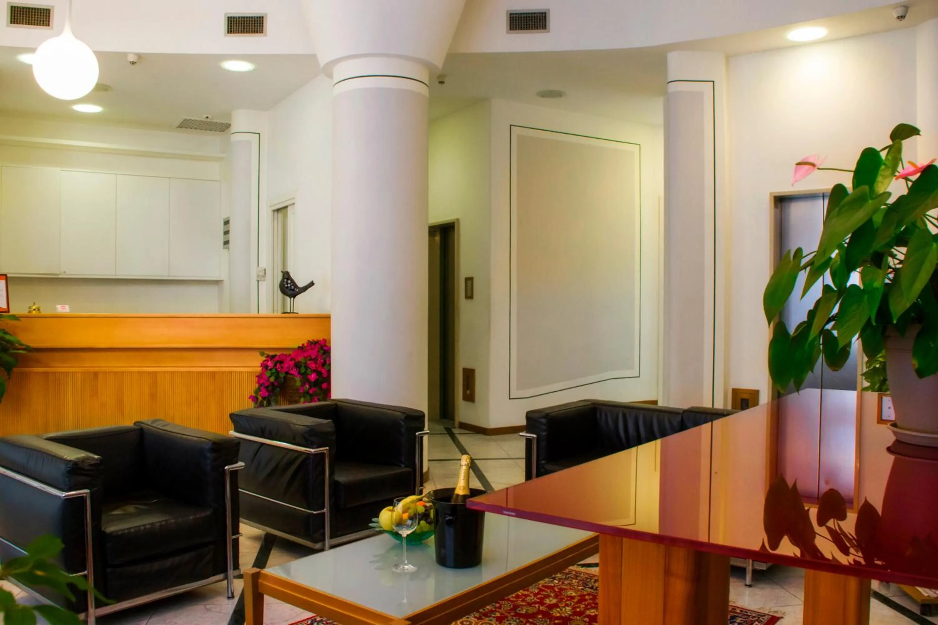 Lobby or reception in Domus Hotel