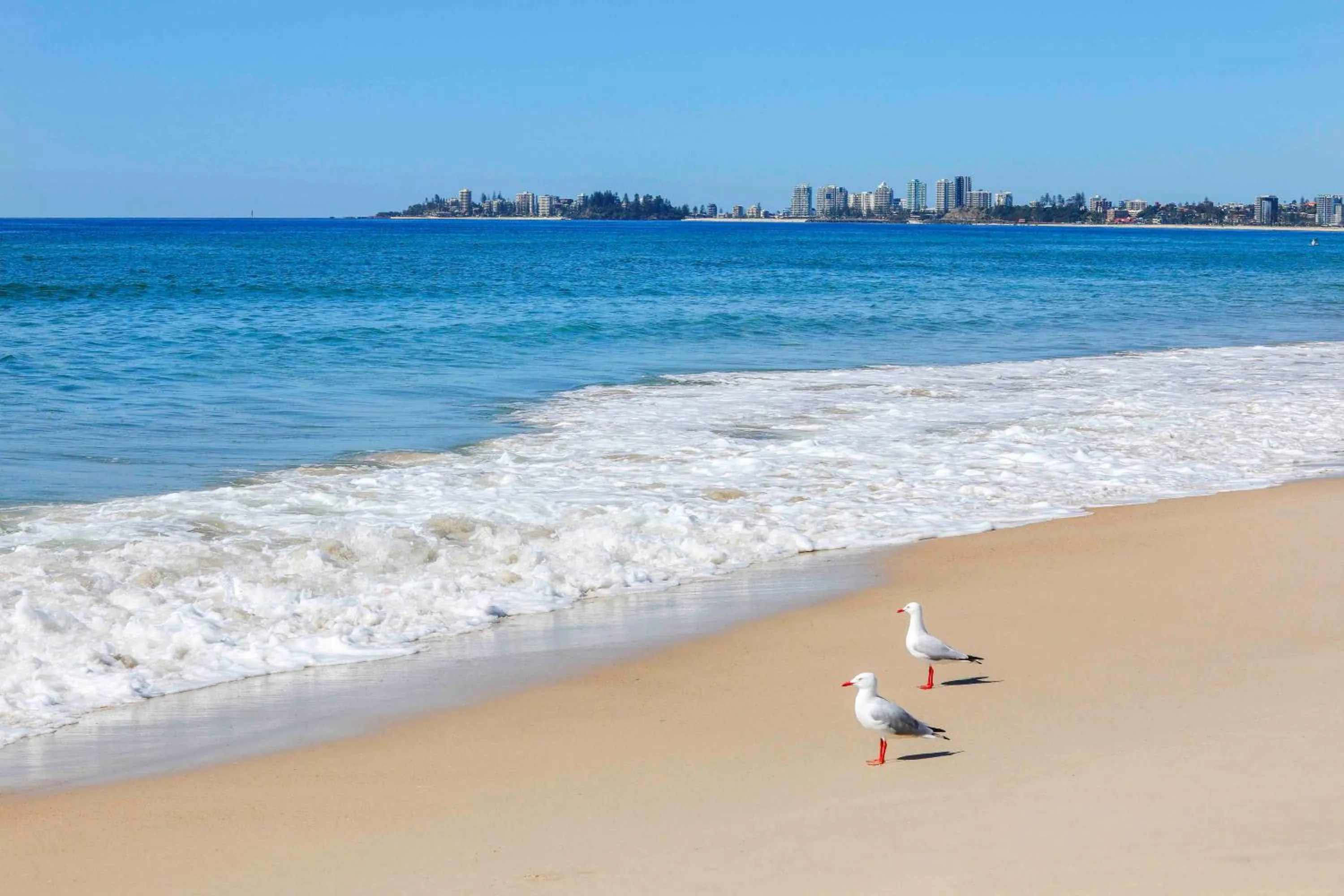 Beach in Sandbox Apartments
