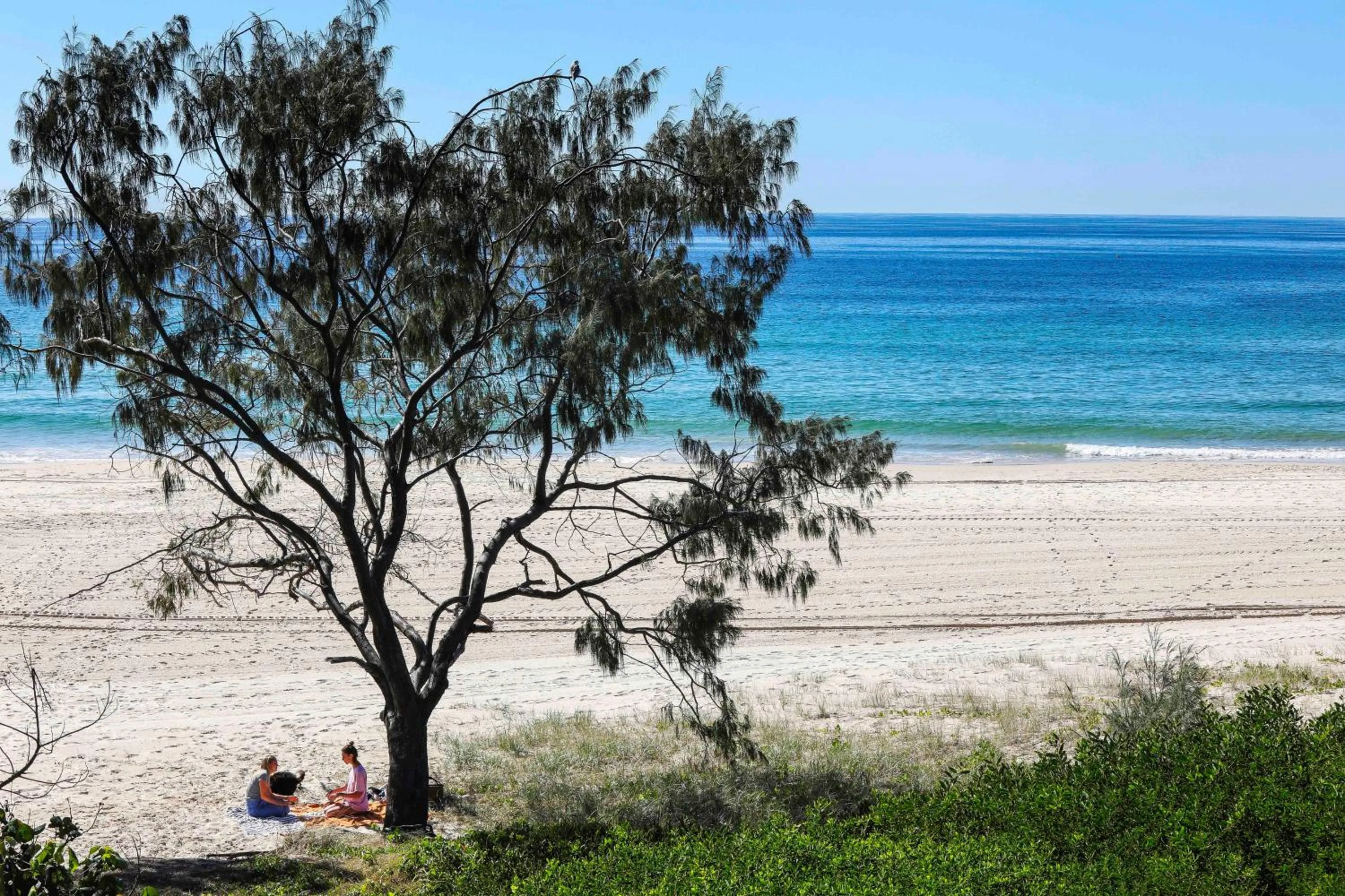 Beach in Sandbox Apartments