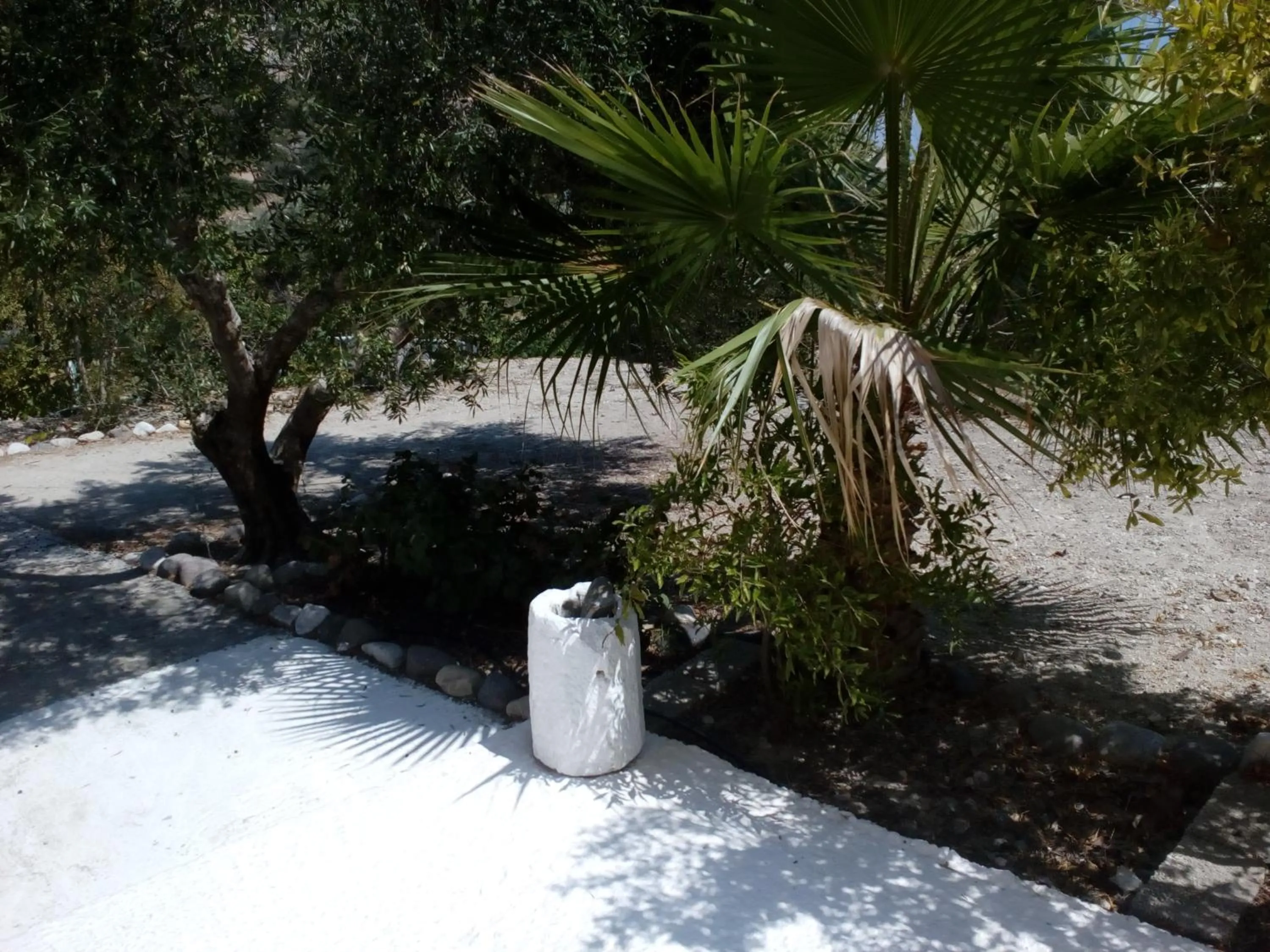 Denise Apartments Kefalos