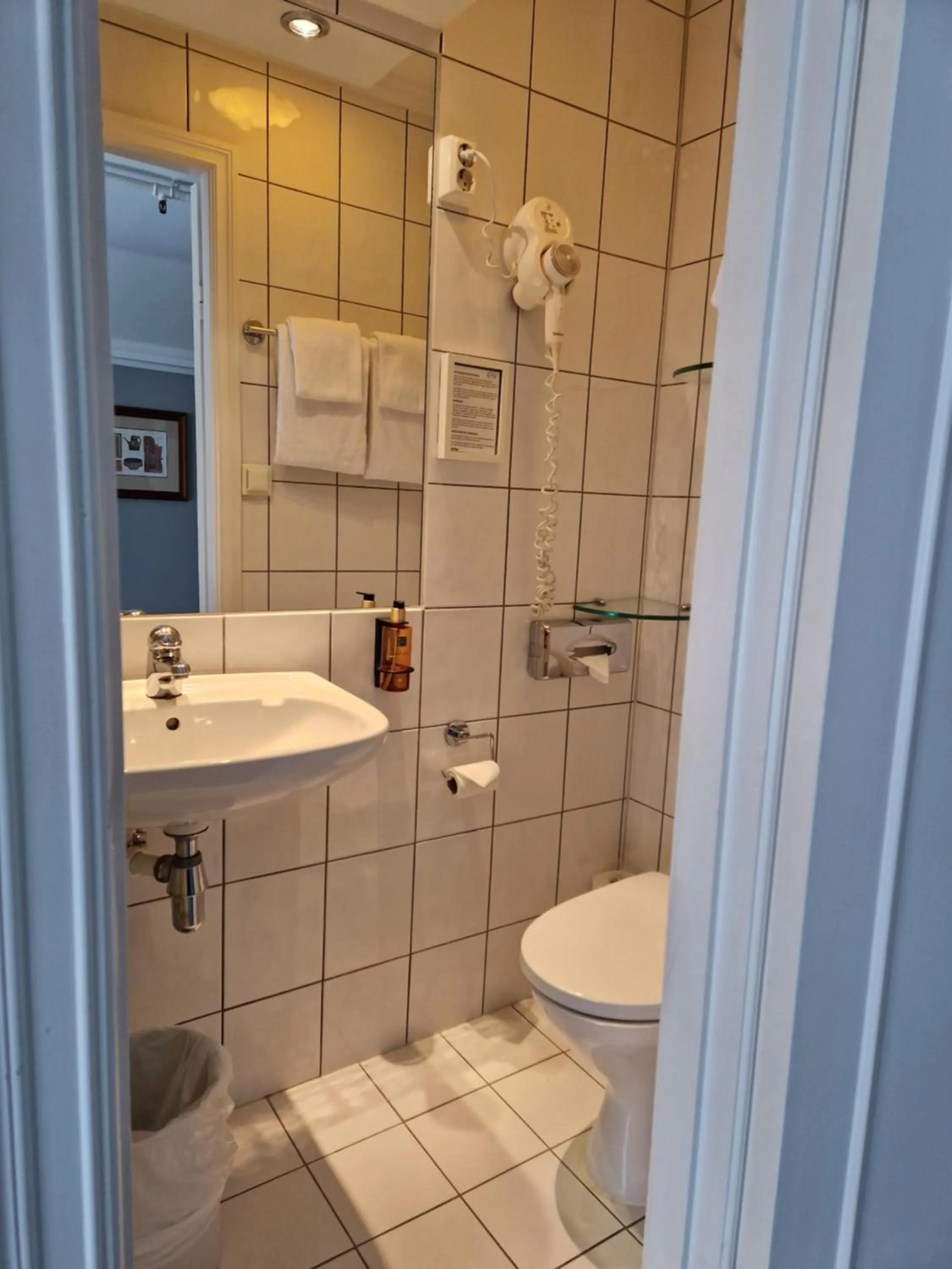 Toilet in Dr. Holms Hotel