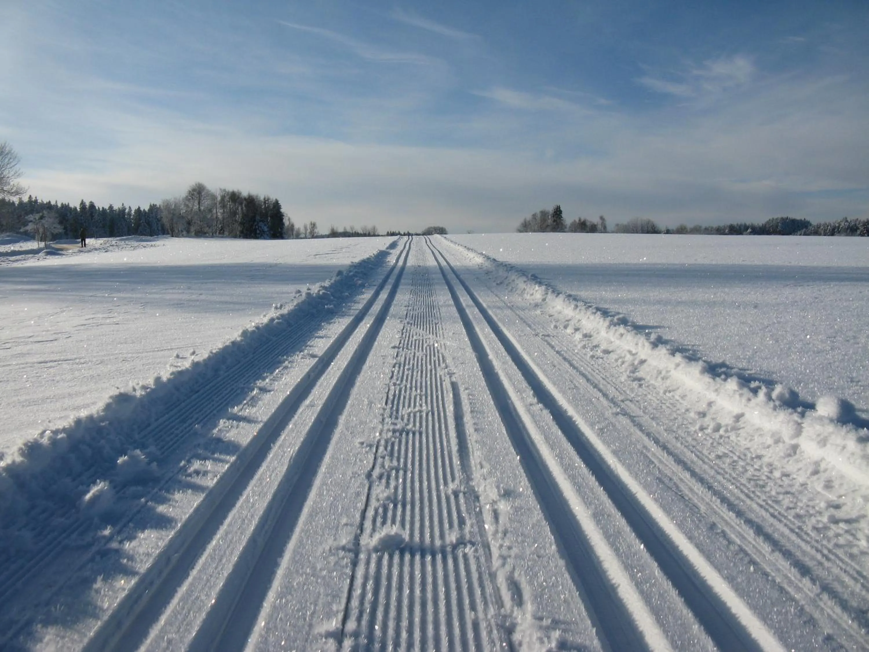 Skiing in Gasthaus Adler Fohrenbühl