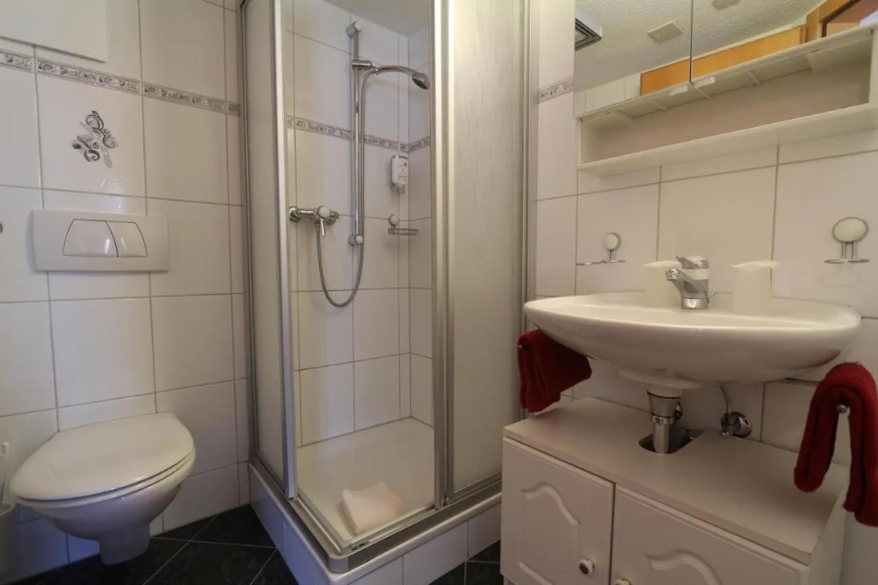 Shower in Hotel Alpina