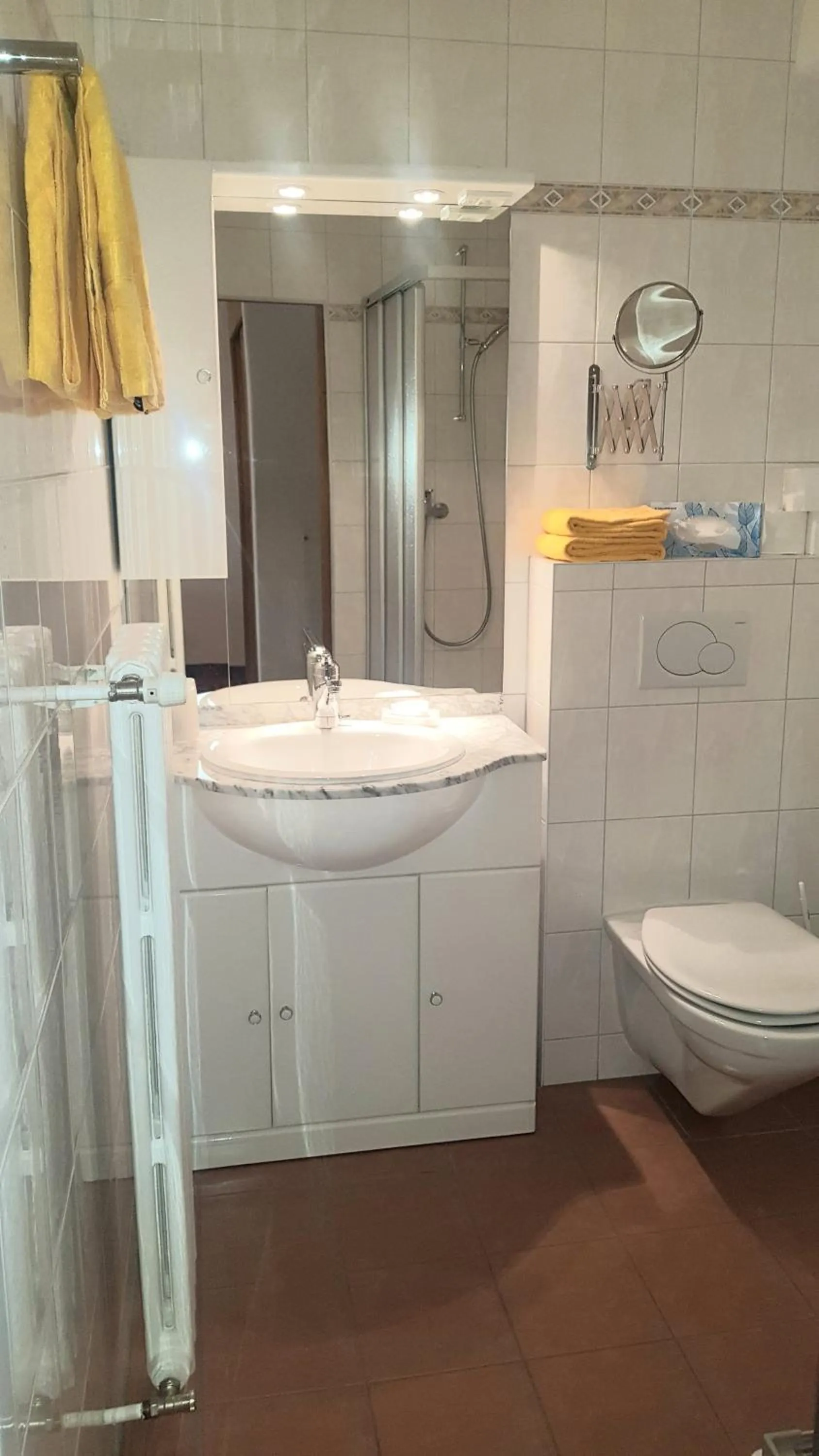 Shower in Hotel Alpina