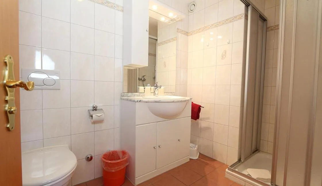 Shower in Hotel Alpina