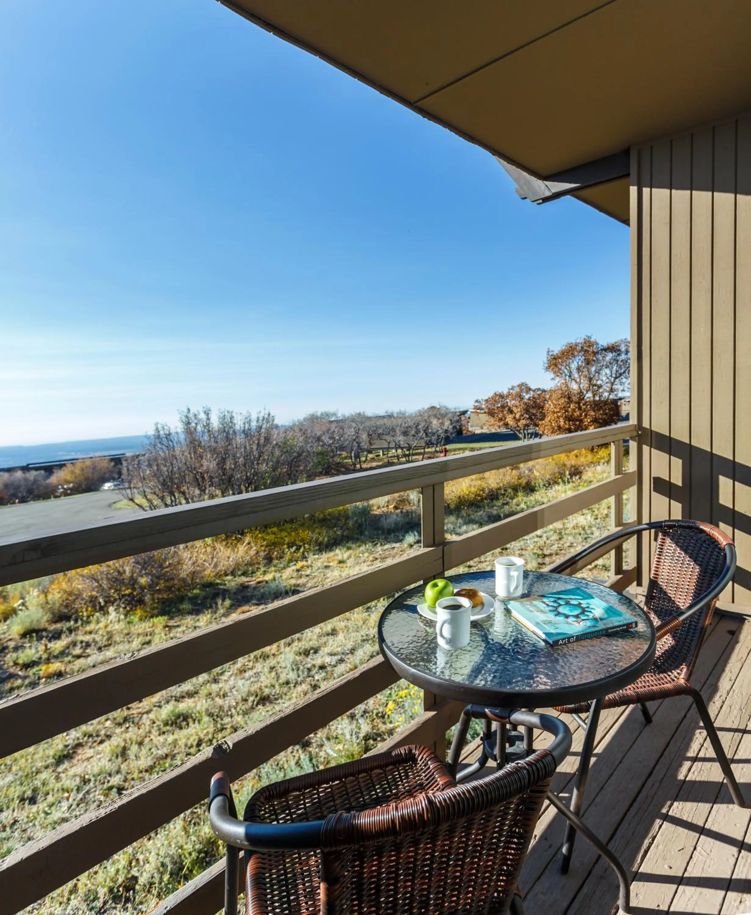 View (from property/room) in Far View Lodge