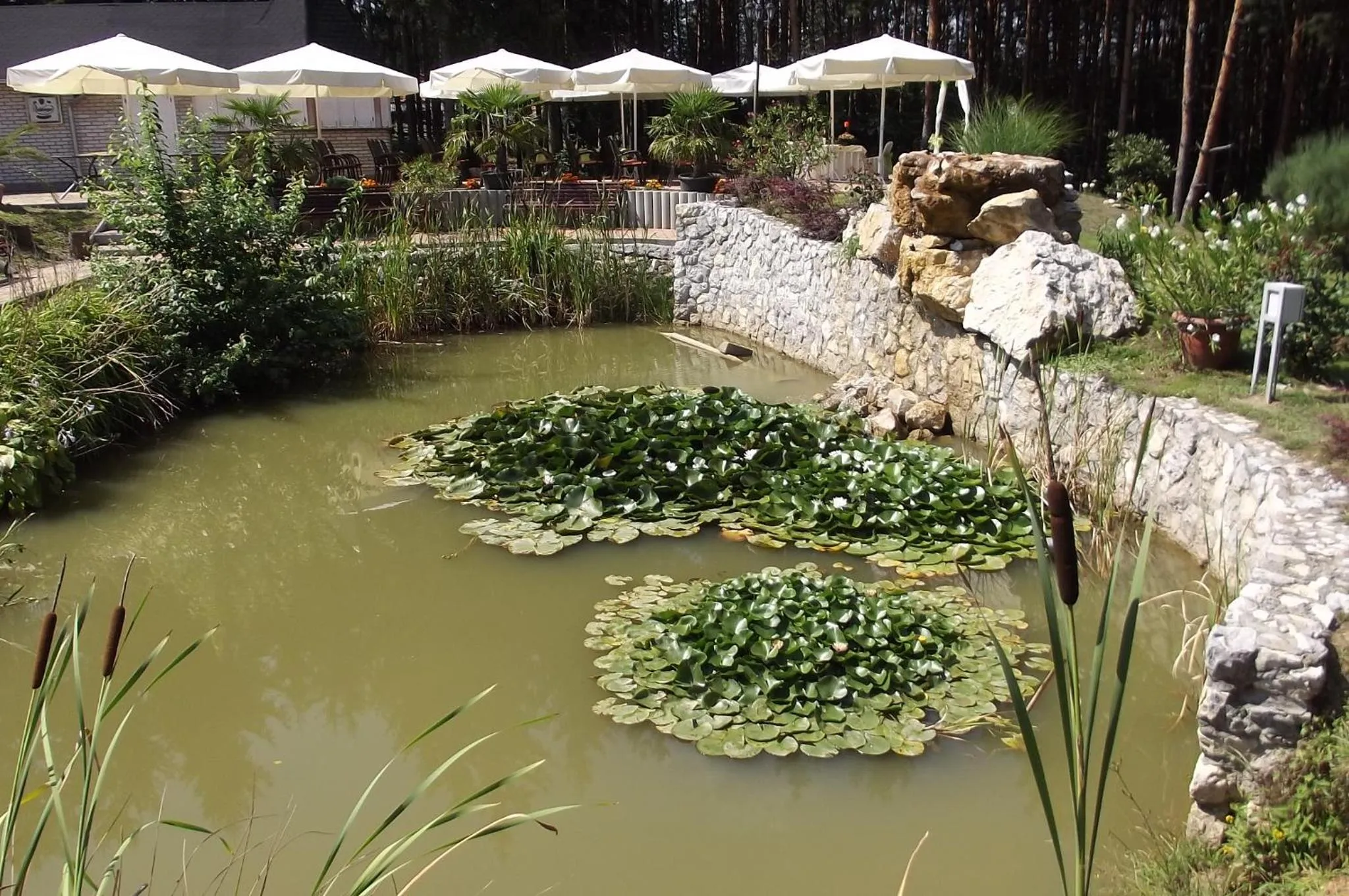 Garden in Gosztola Gyöngye-az erdő szállodája