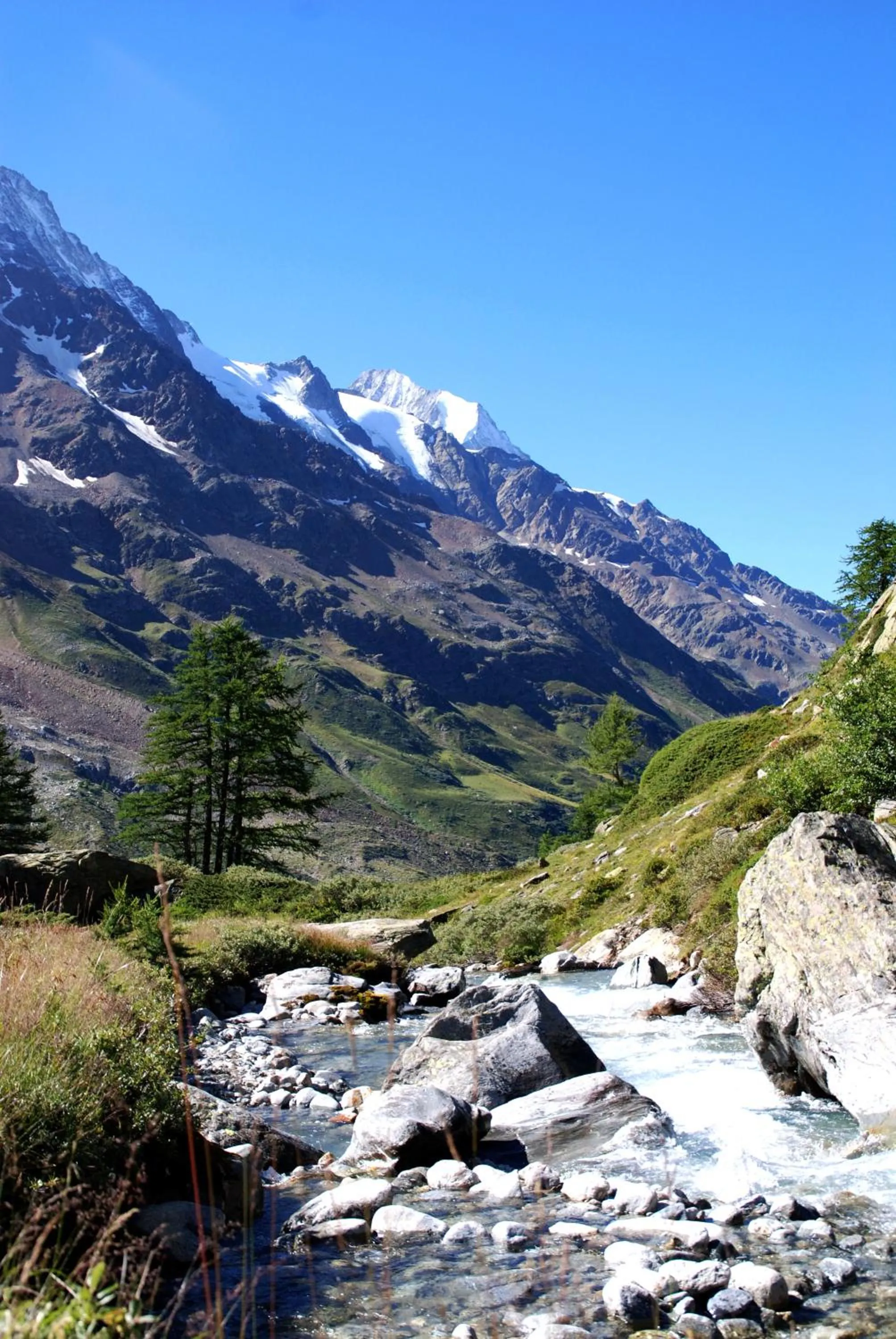 Neighbourhood in Alpenhotel zur Wildi Lauchernalp