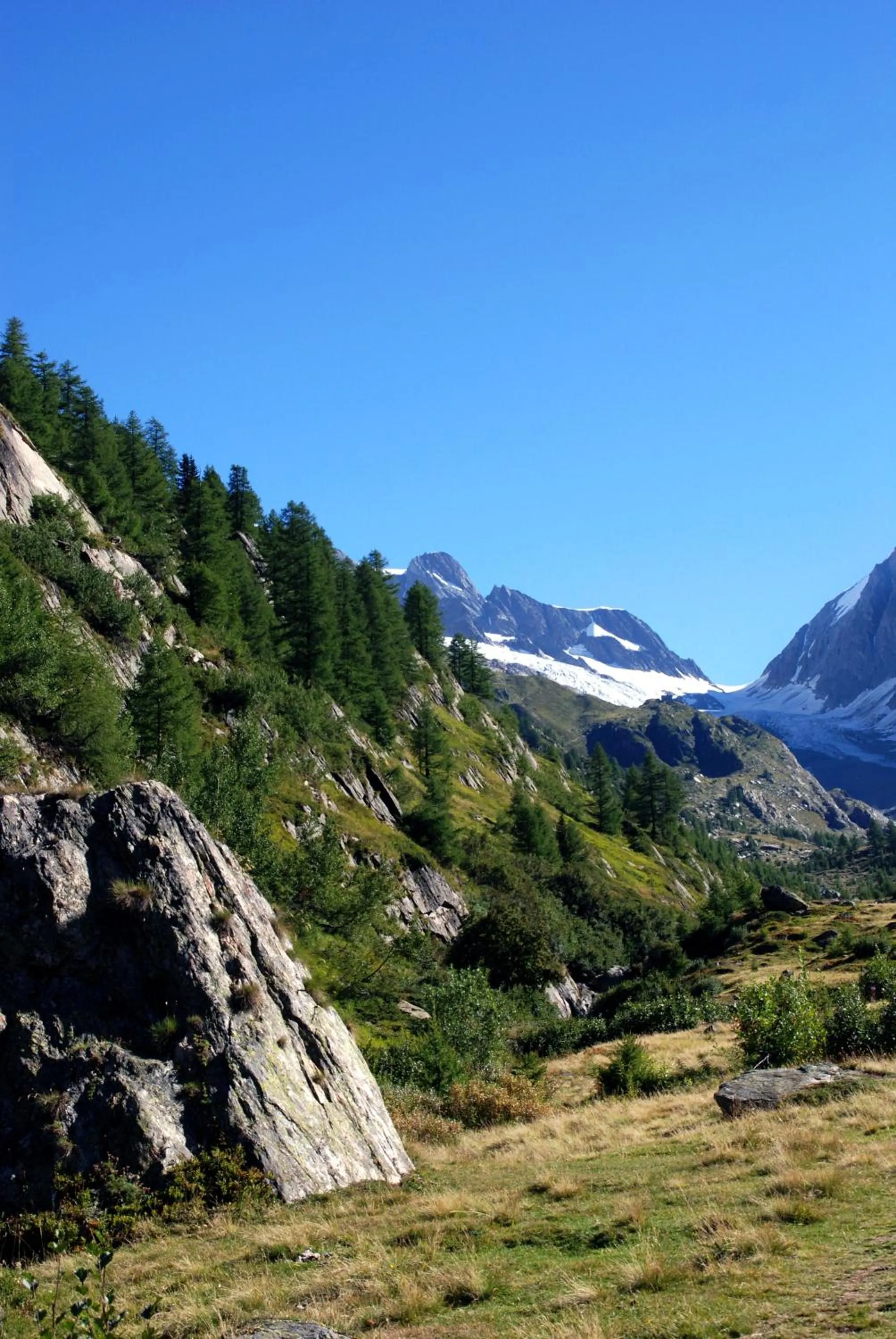 Natural landscape in Alpenhotel zur Wildi Lauchernalp