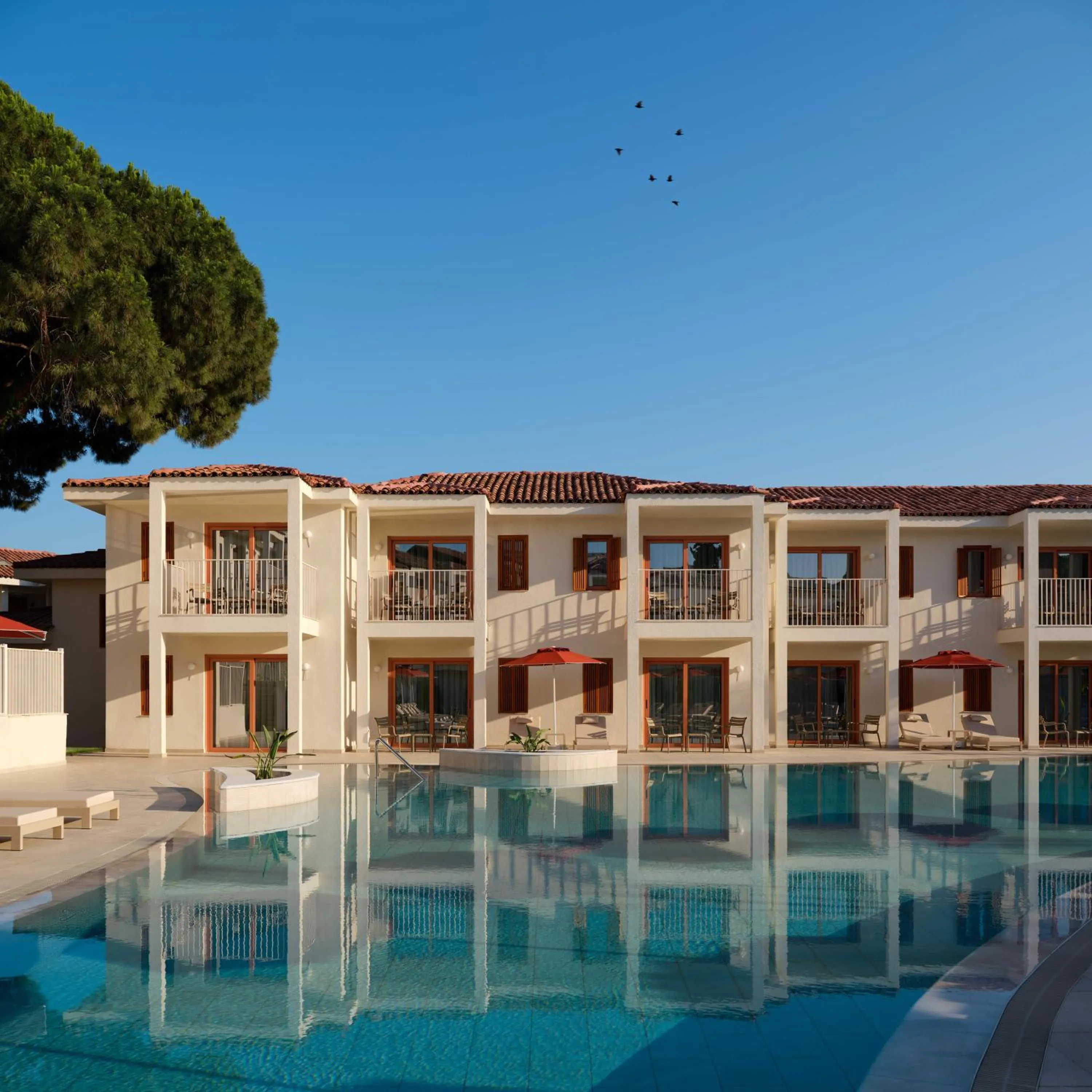 Swimming pool in Paloma Grida