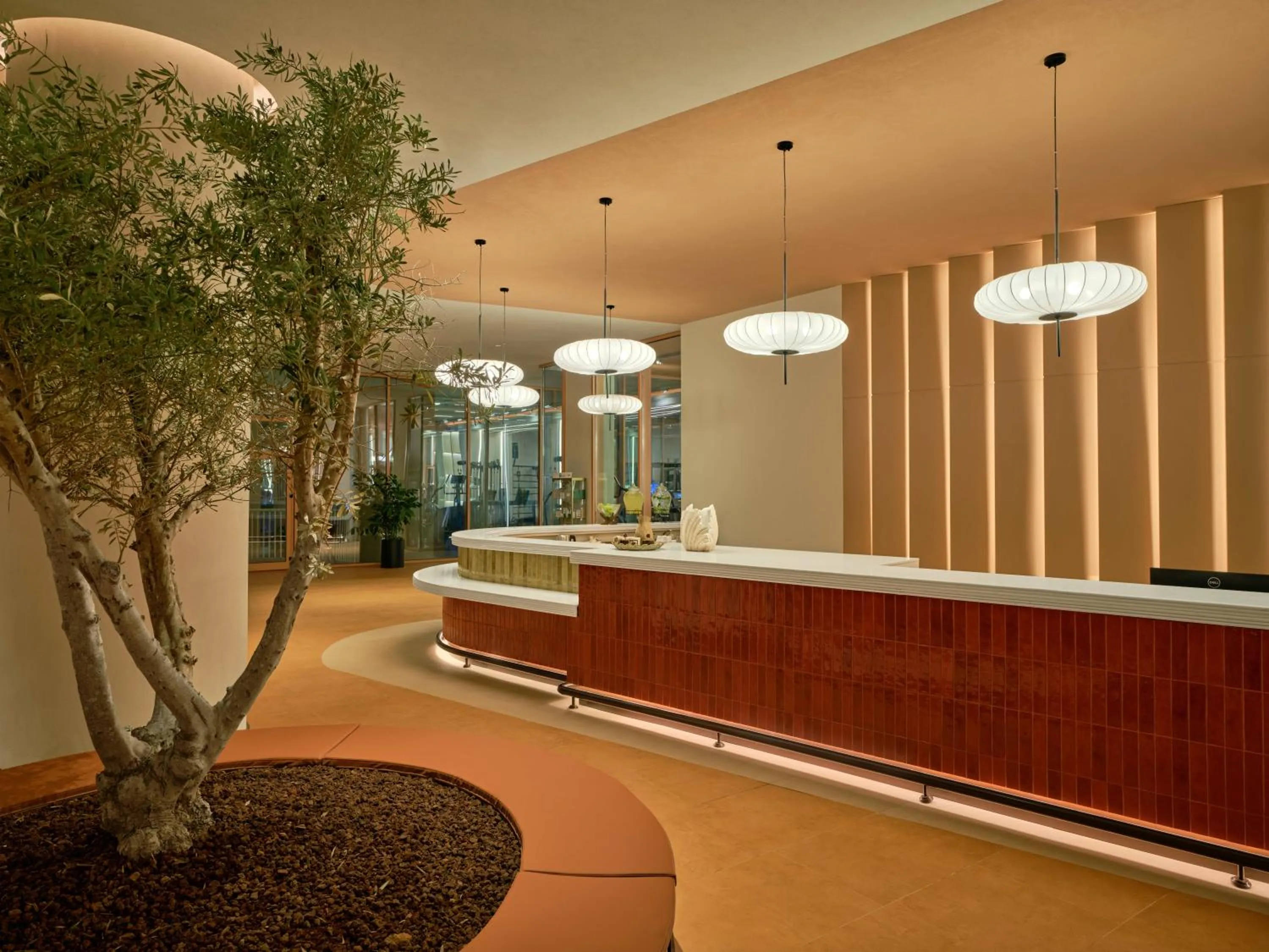 Spa and wellness centre/facilities in Paloma Grida