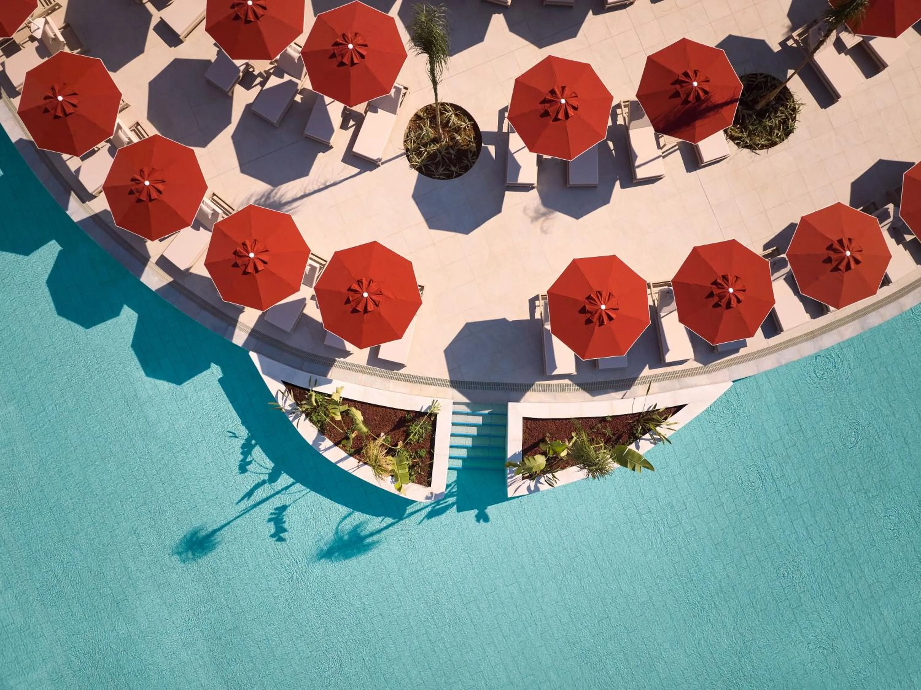 Swimming pool in Paloma Grida