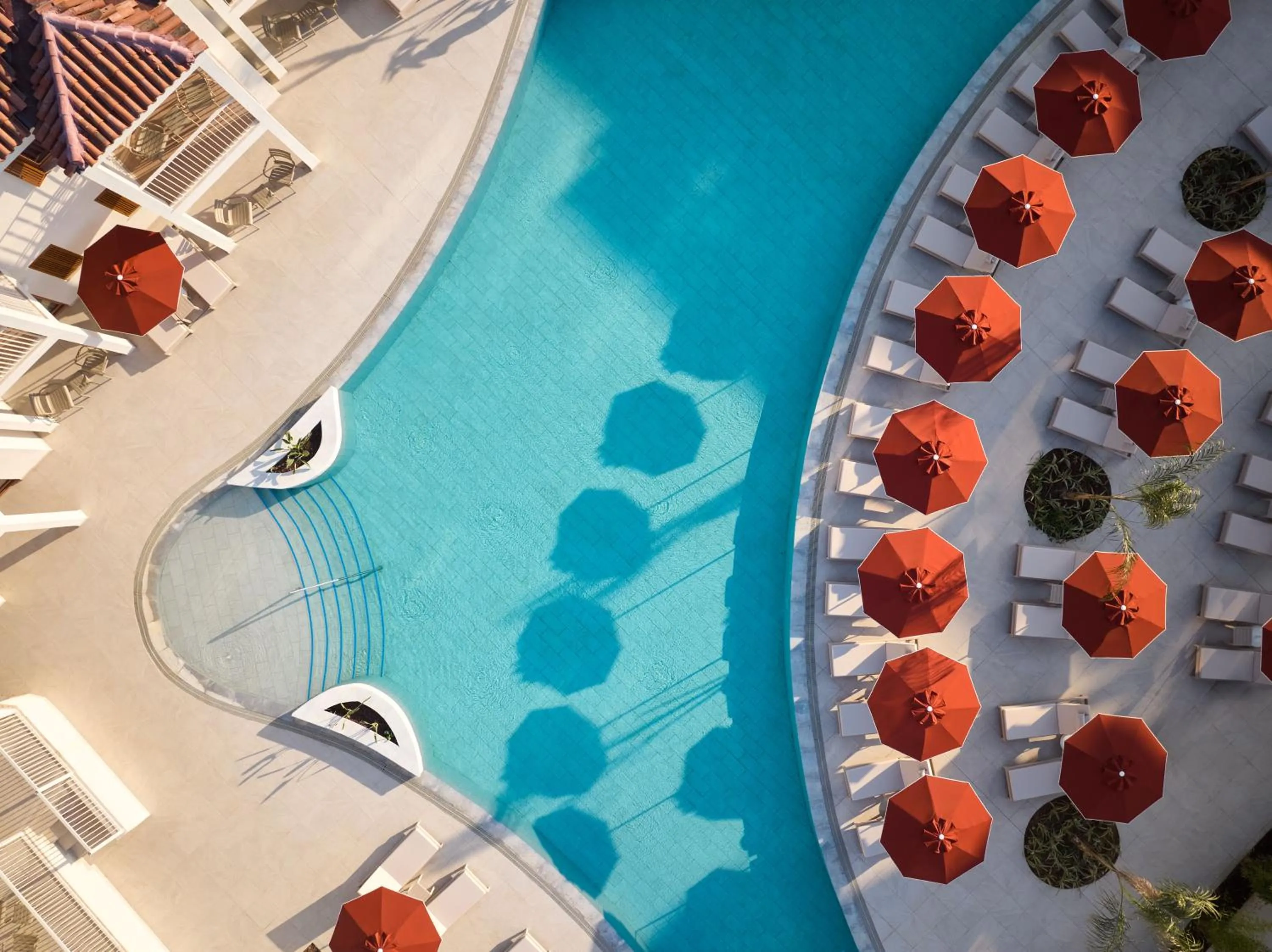 Swimming pool in Paloma Grida