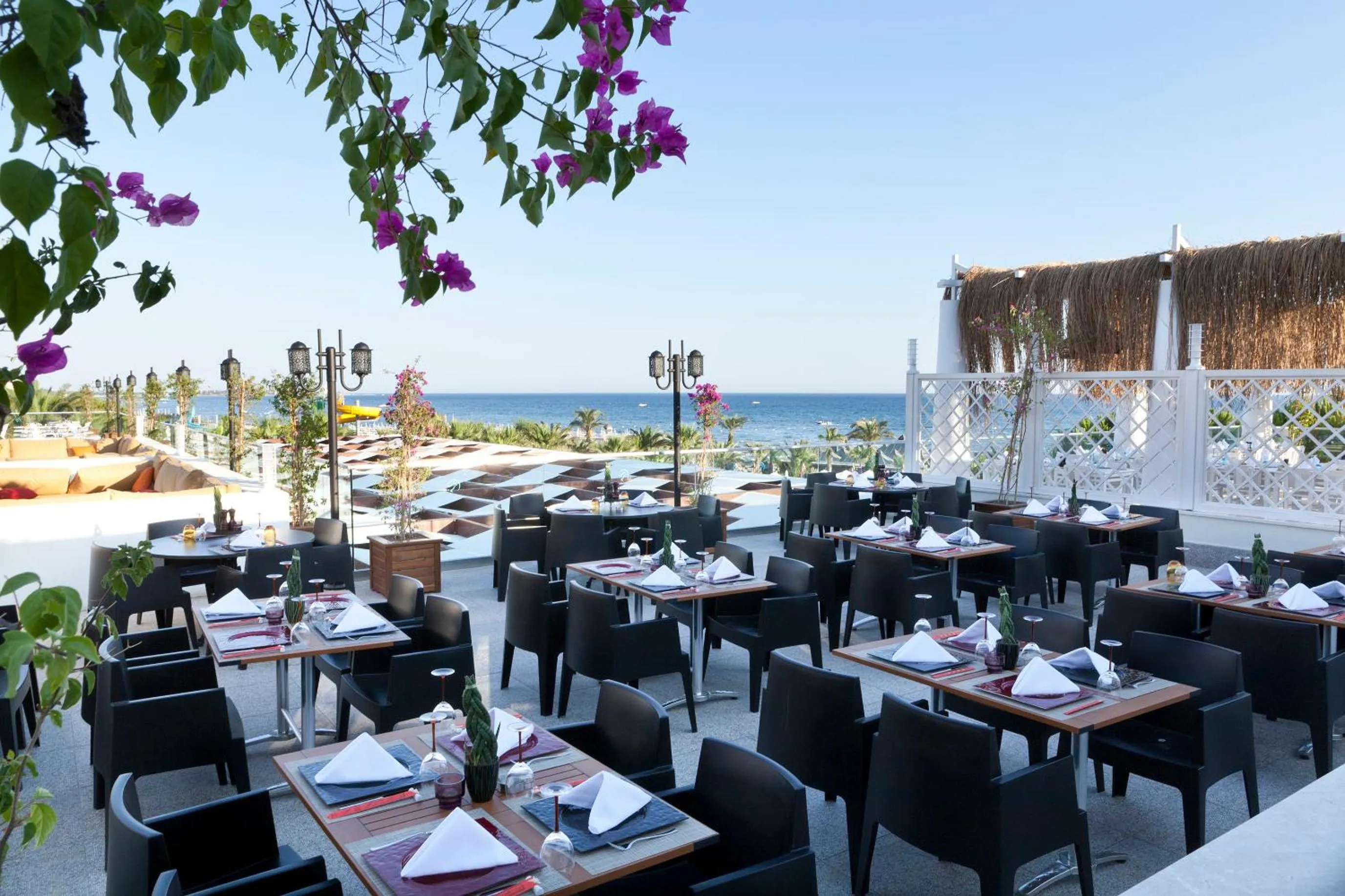 Restaurant/places to eat in Paloma Oceana