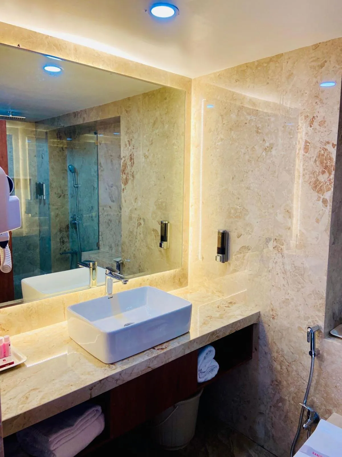 Bathroom in Hotel Parle International