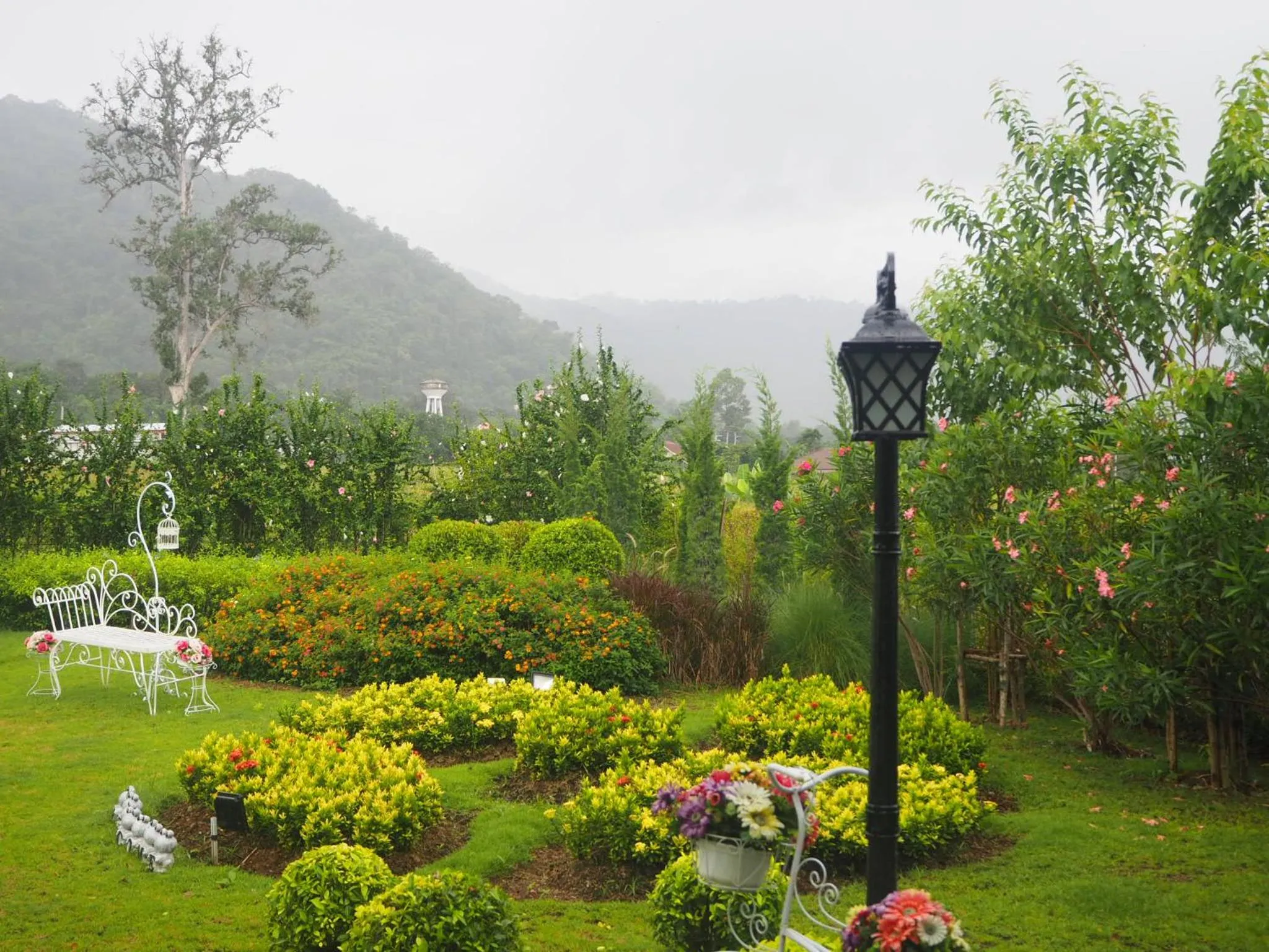Natural landscape in The Focus Khaoyai Resort