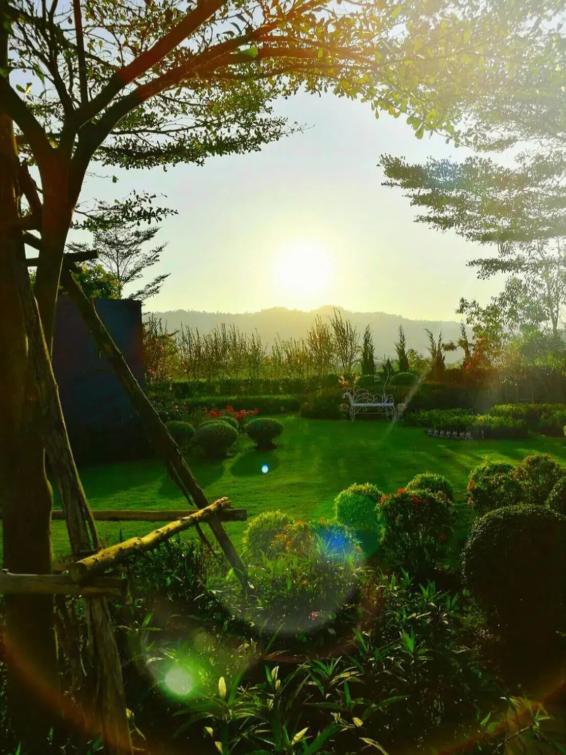 The Focus Khaoyai Resort The Focus Khaoyai Resort