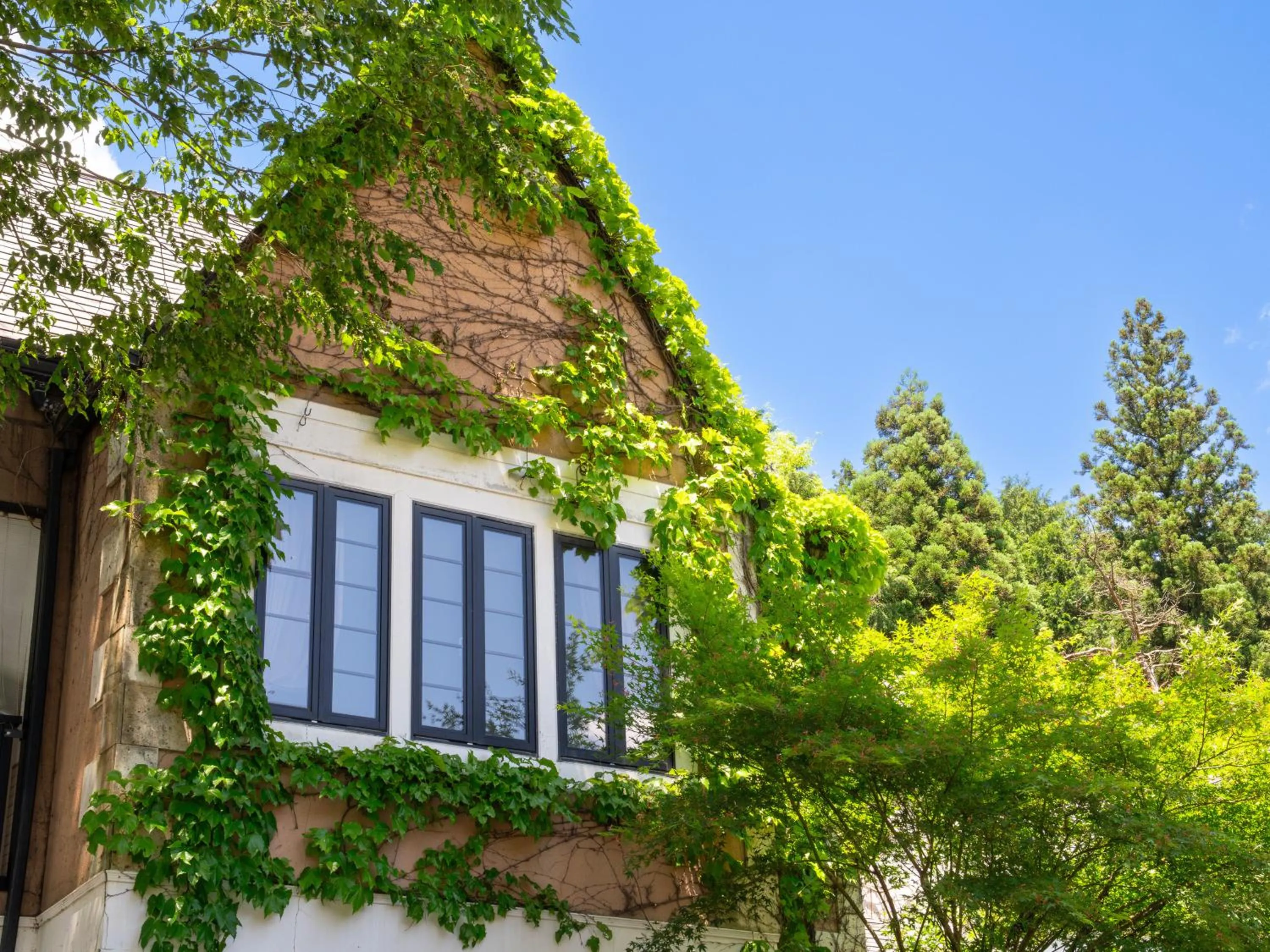 Property building in Hotel Euro City