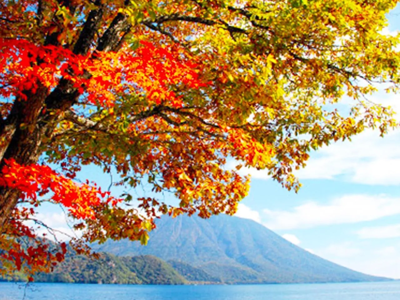 Nearby landmark in Hotel Euro City