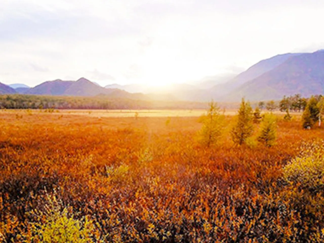 Nearby landmark in Hotel Euro City