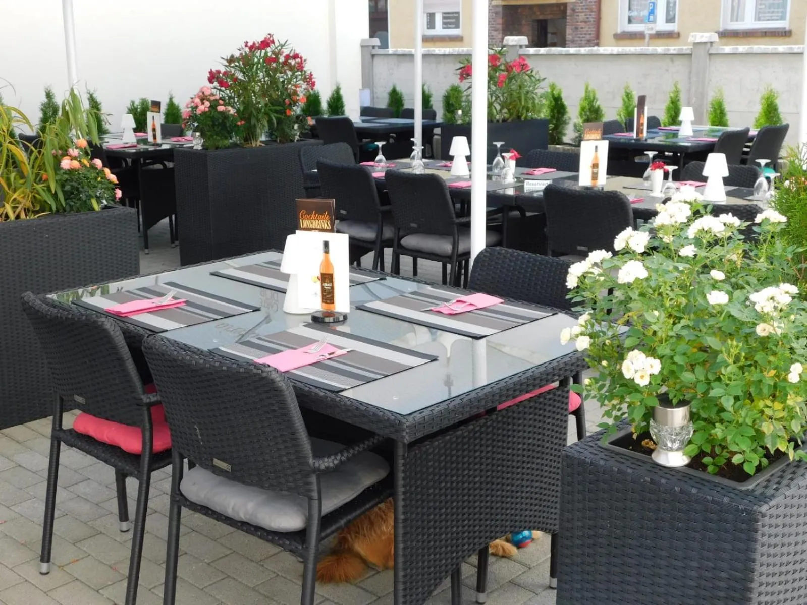 Balcony/Terrace in Hotel Anhalt