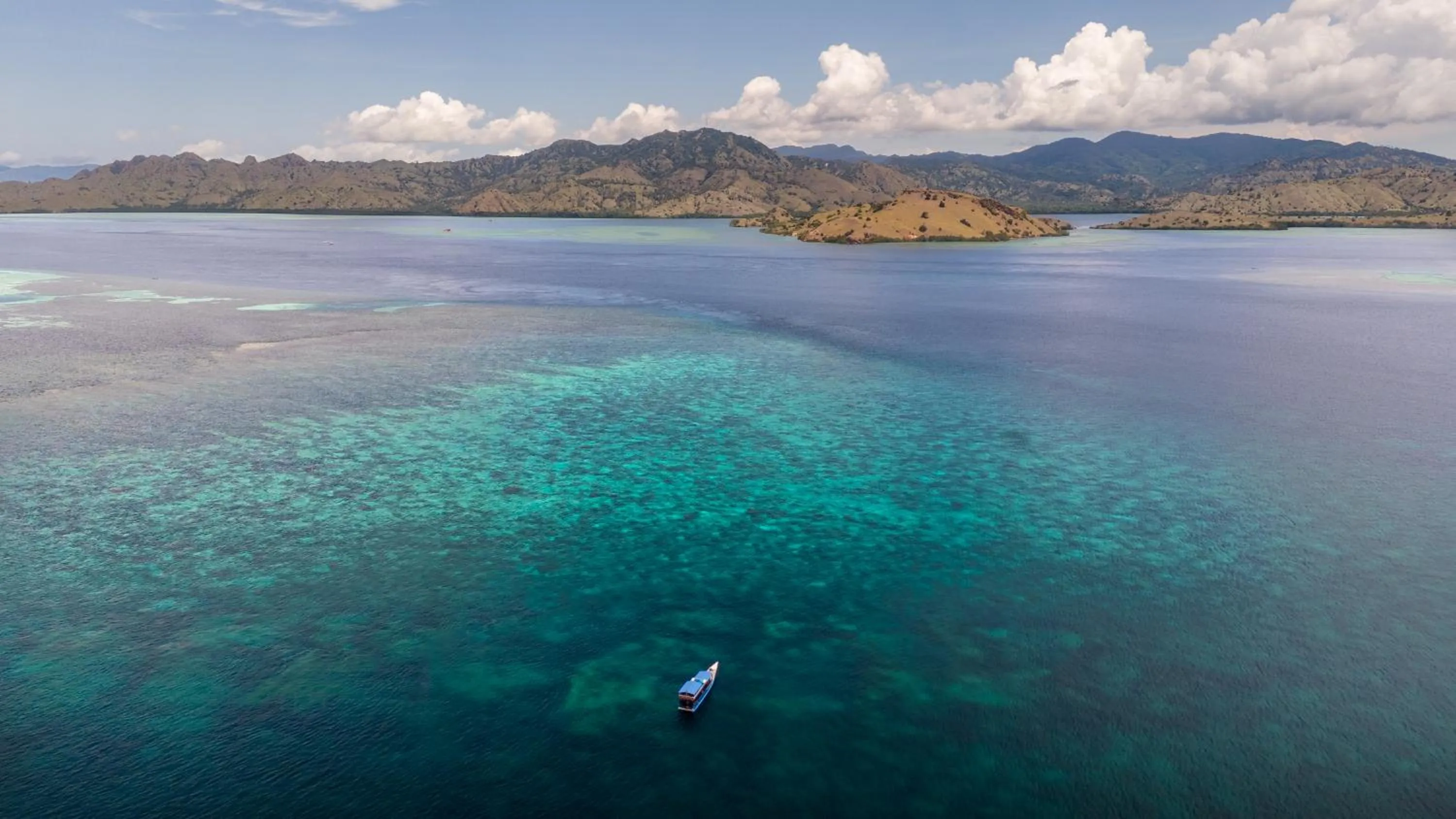 Activities in Dragon Dive Komodo Dive Resort