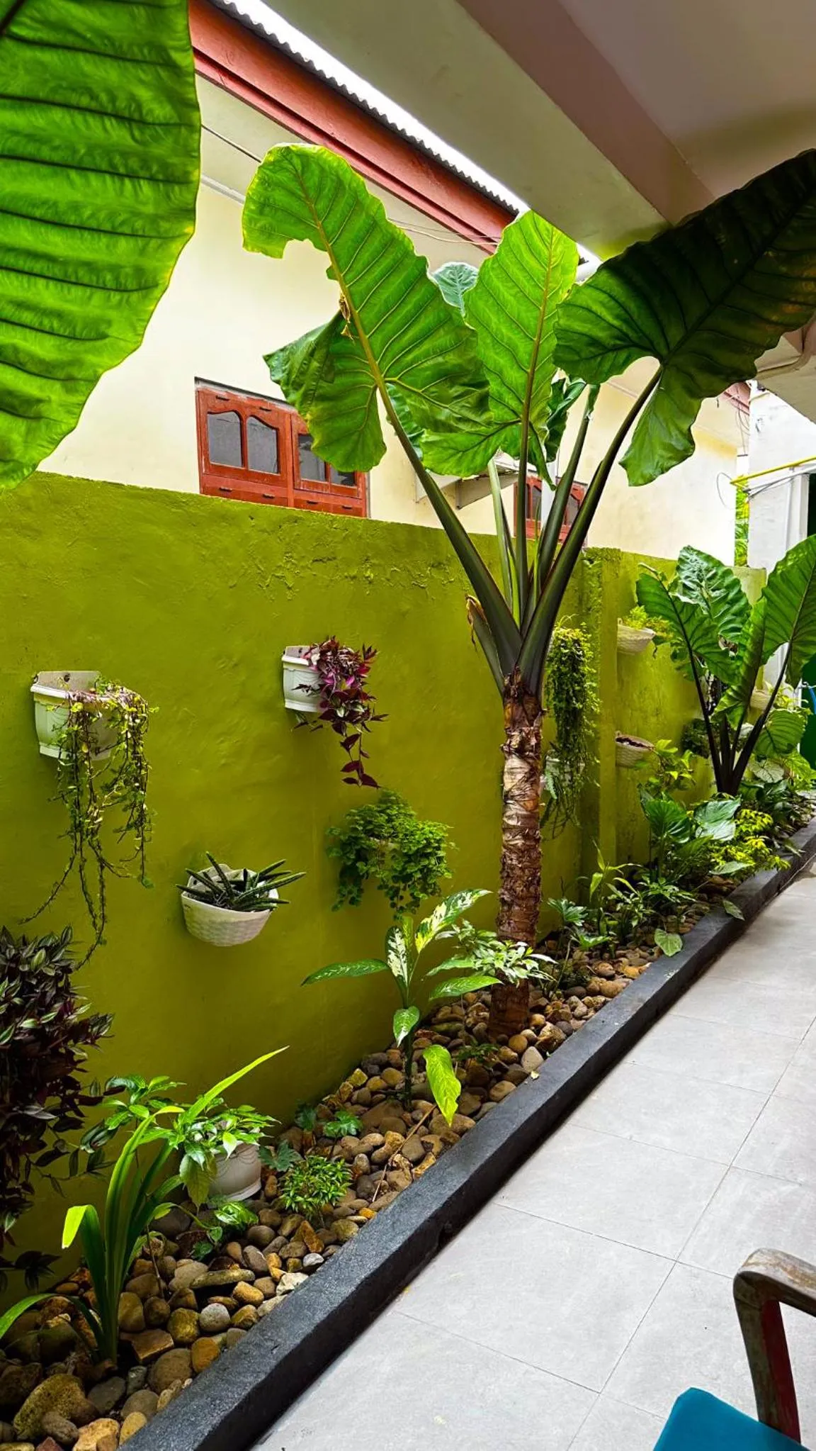 Garden view in Dragon Dive Komodo Dive Resort