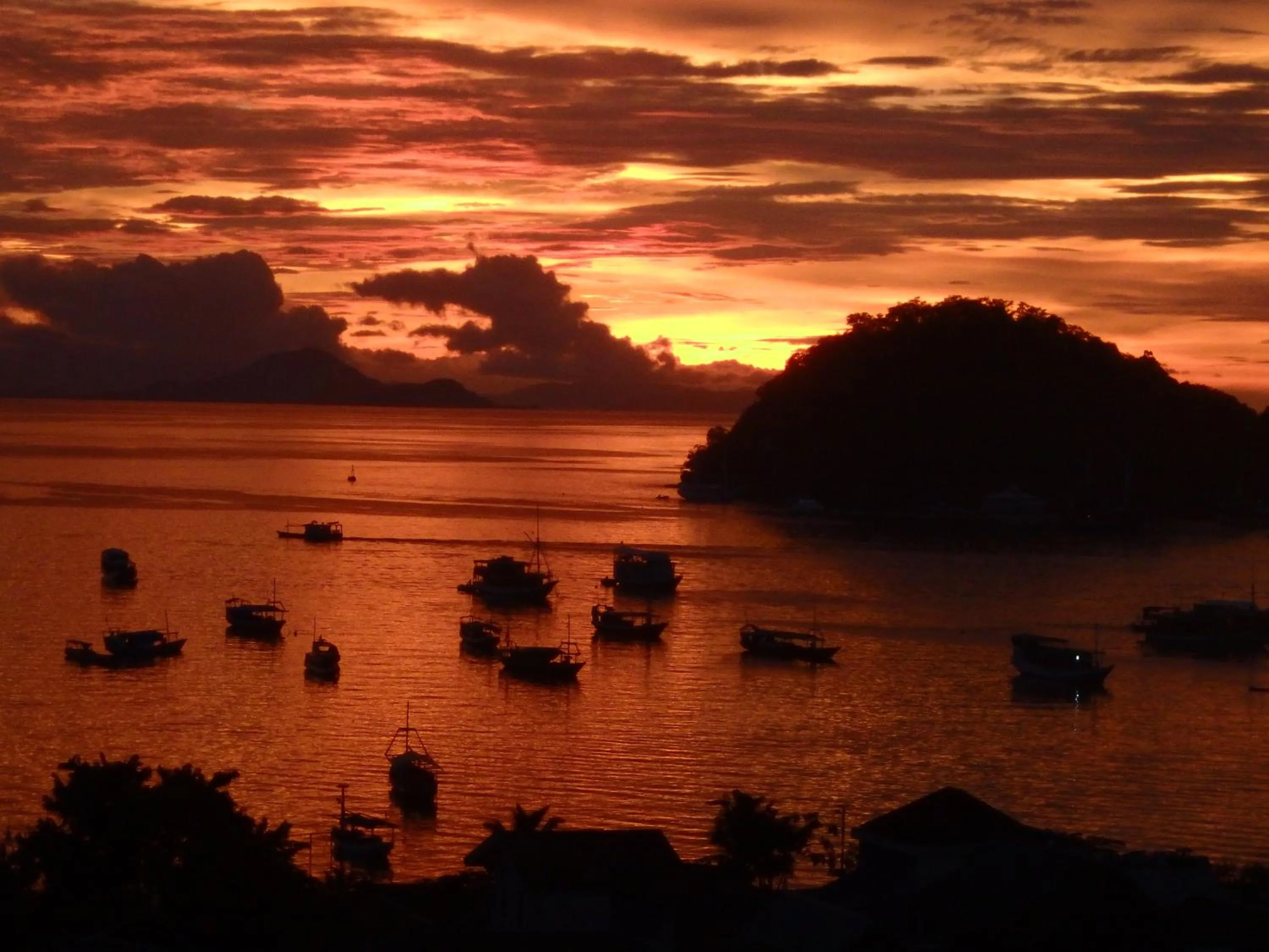 Other in Dragon Dive Komodo Dive Resort