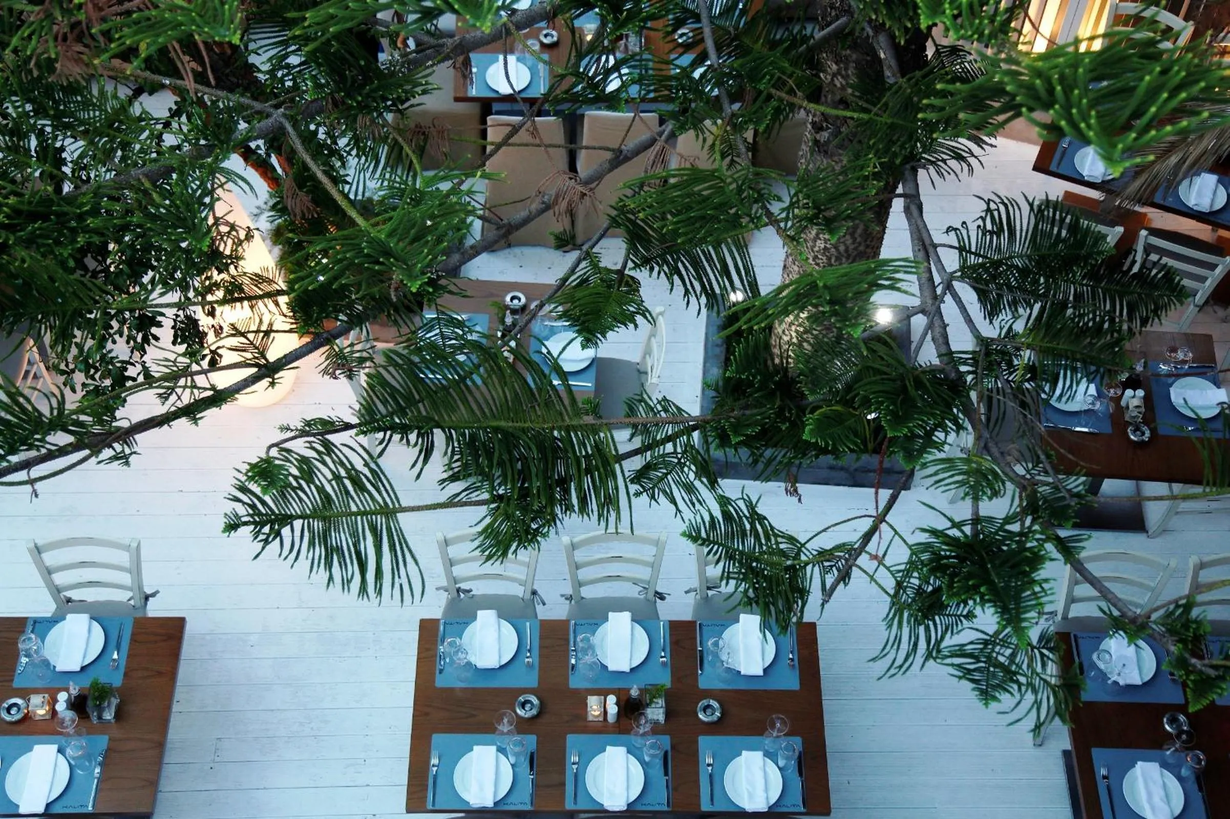 Restaurant/places to eat in Fresh Boutique Hotel