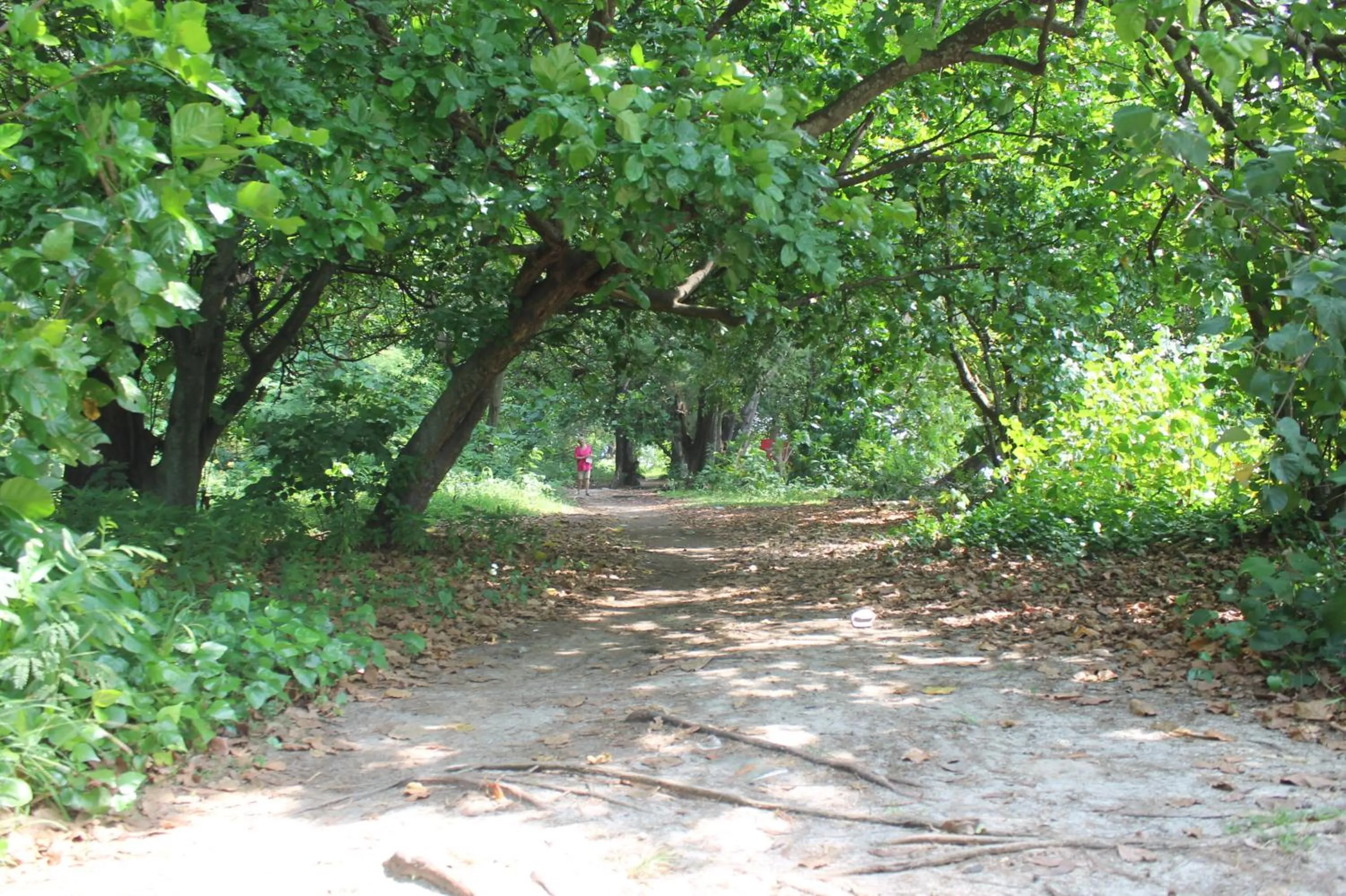 Natural landscape in Seribu Resort Thousand Island
