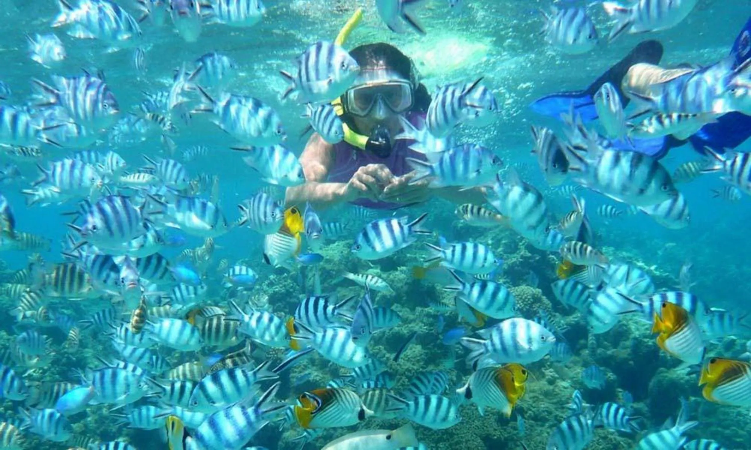 Snorkeling in Seribu Resort Thousand Island