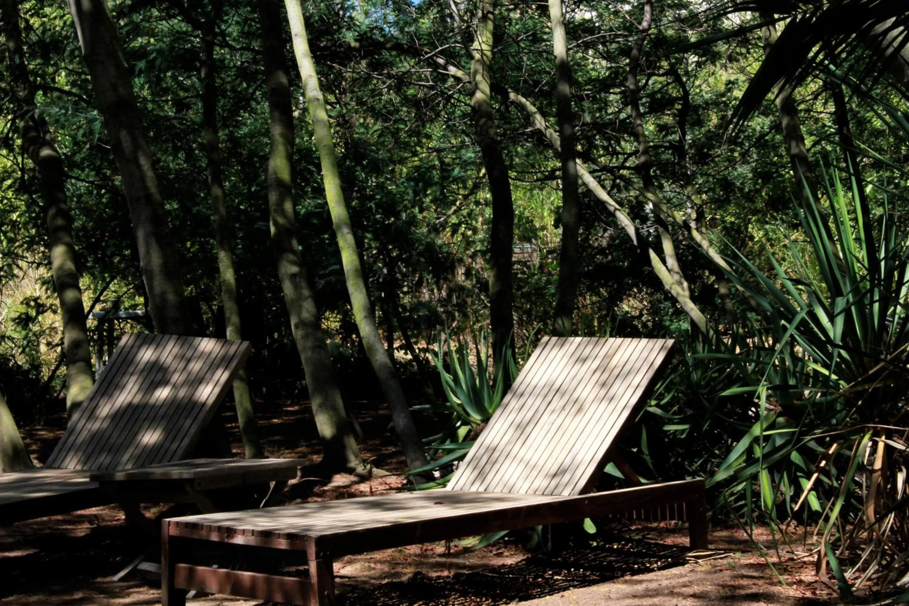 Garden view in Casa Orsoni