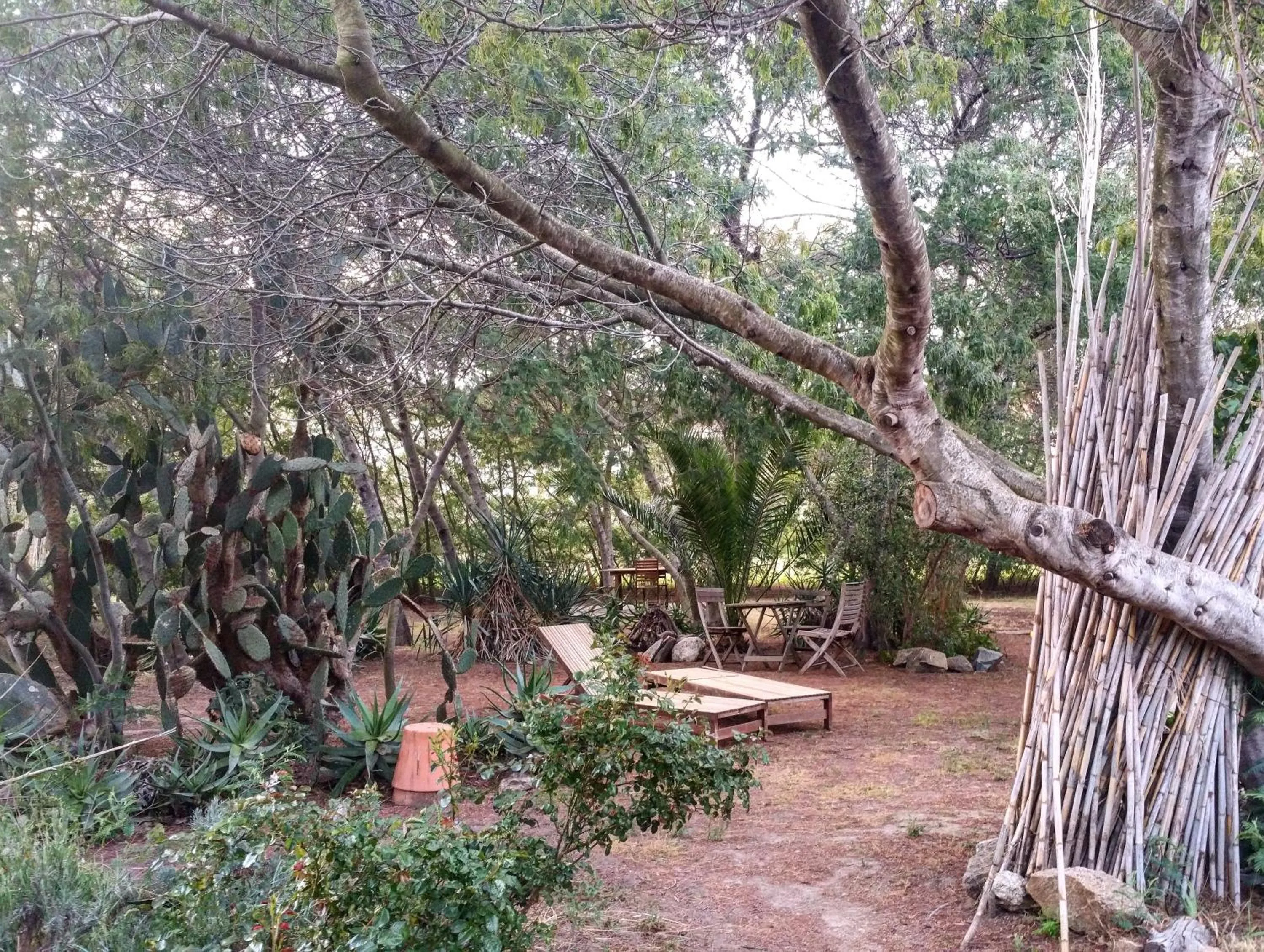 Summer in Casa Orsoni