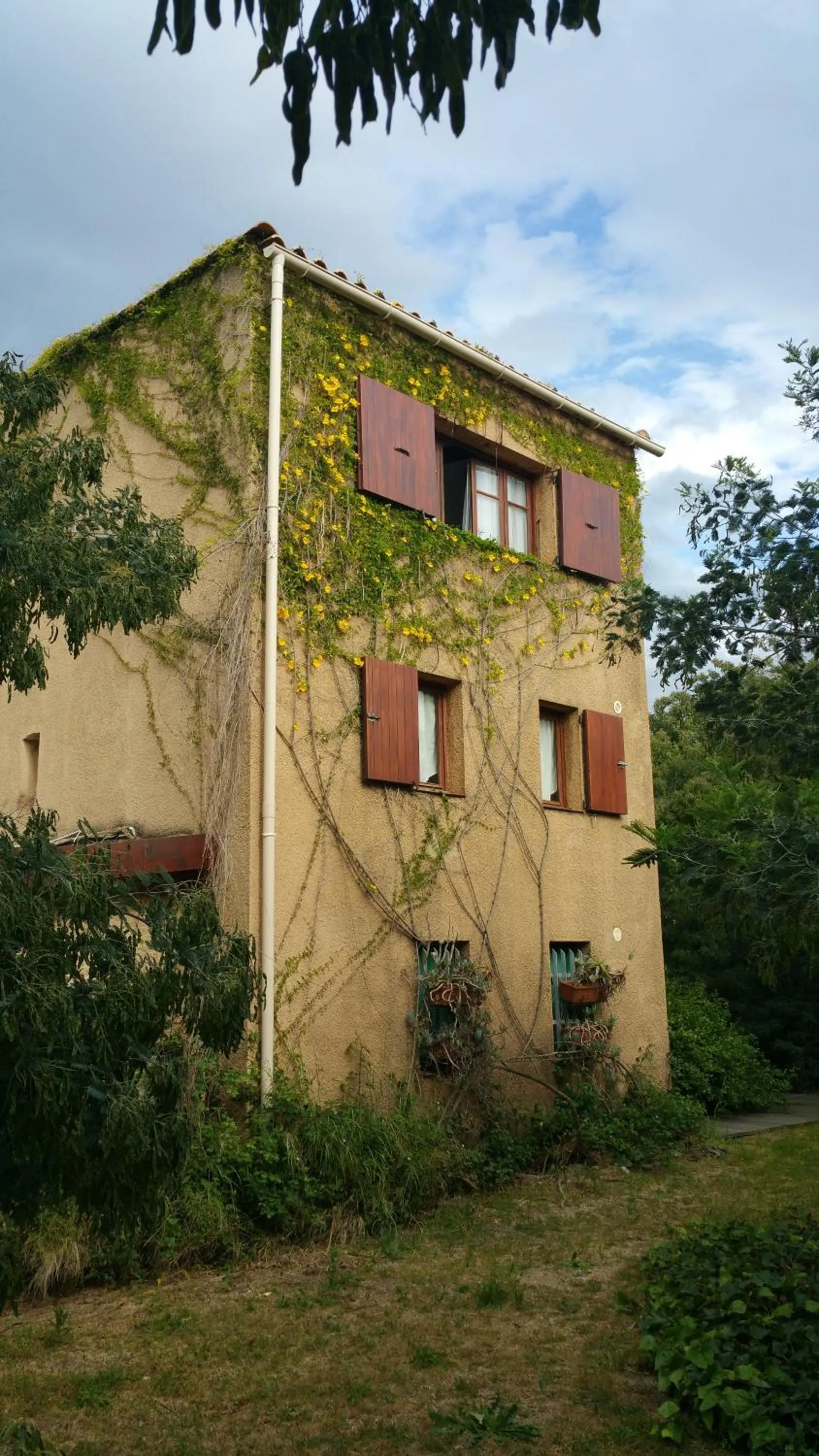 Property building in Casa Orsoni