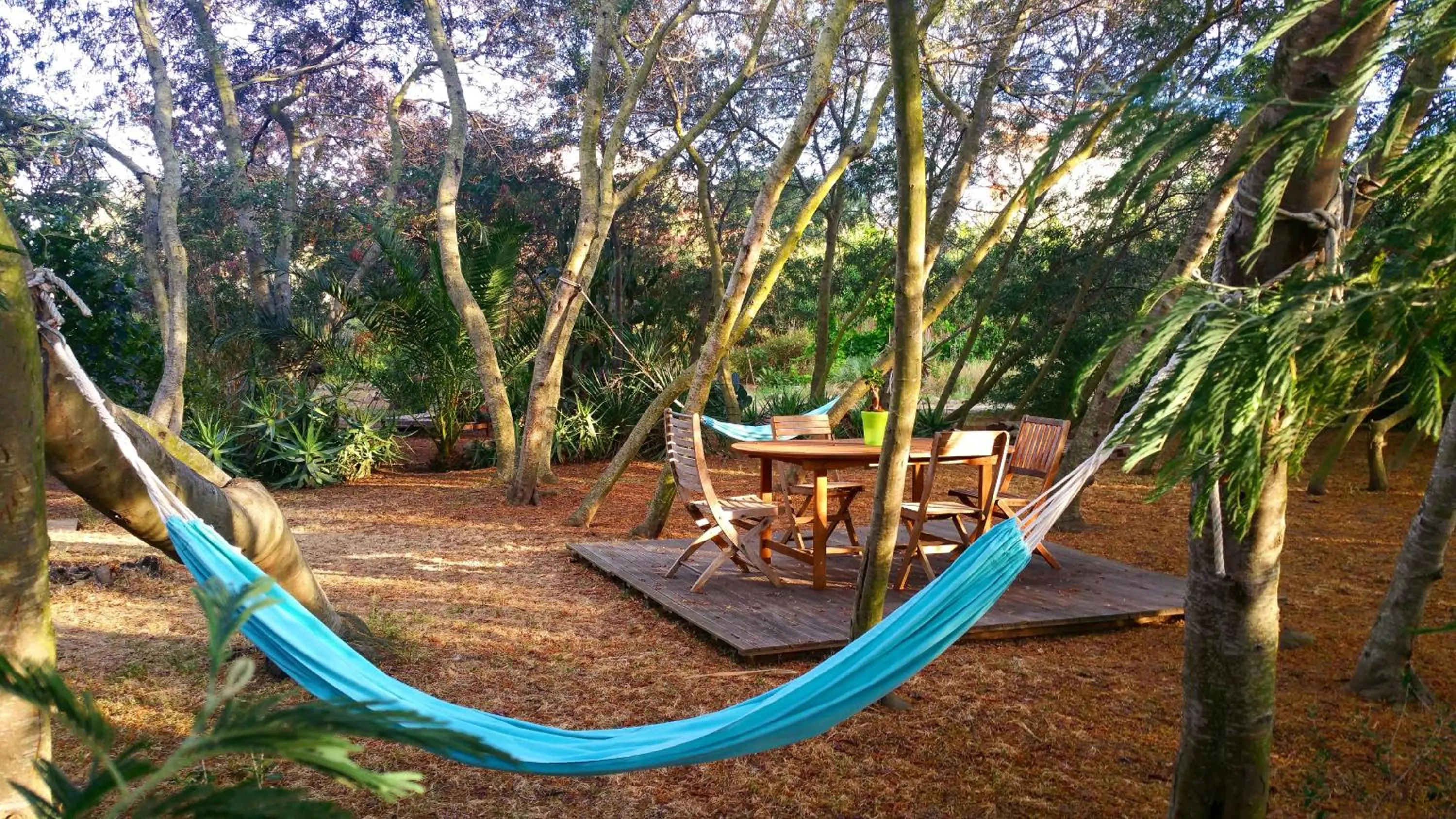 Garden in Casa Orsoni