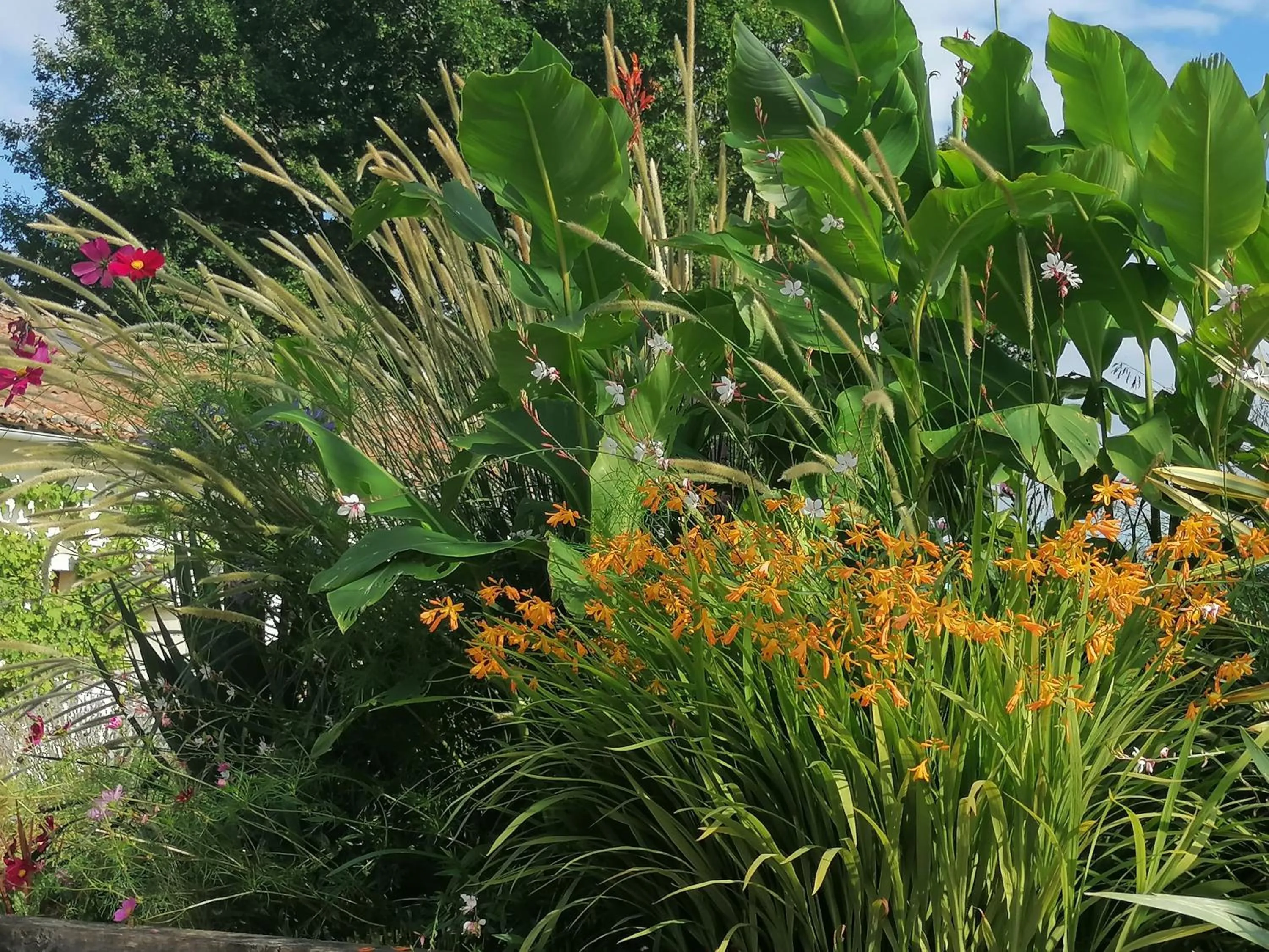 Garden in La Vieille Gorce Chambres d'Hôtes near Civray