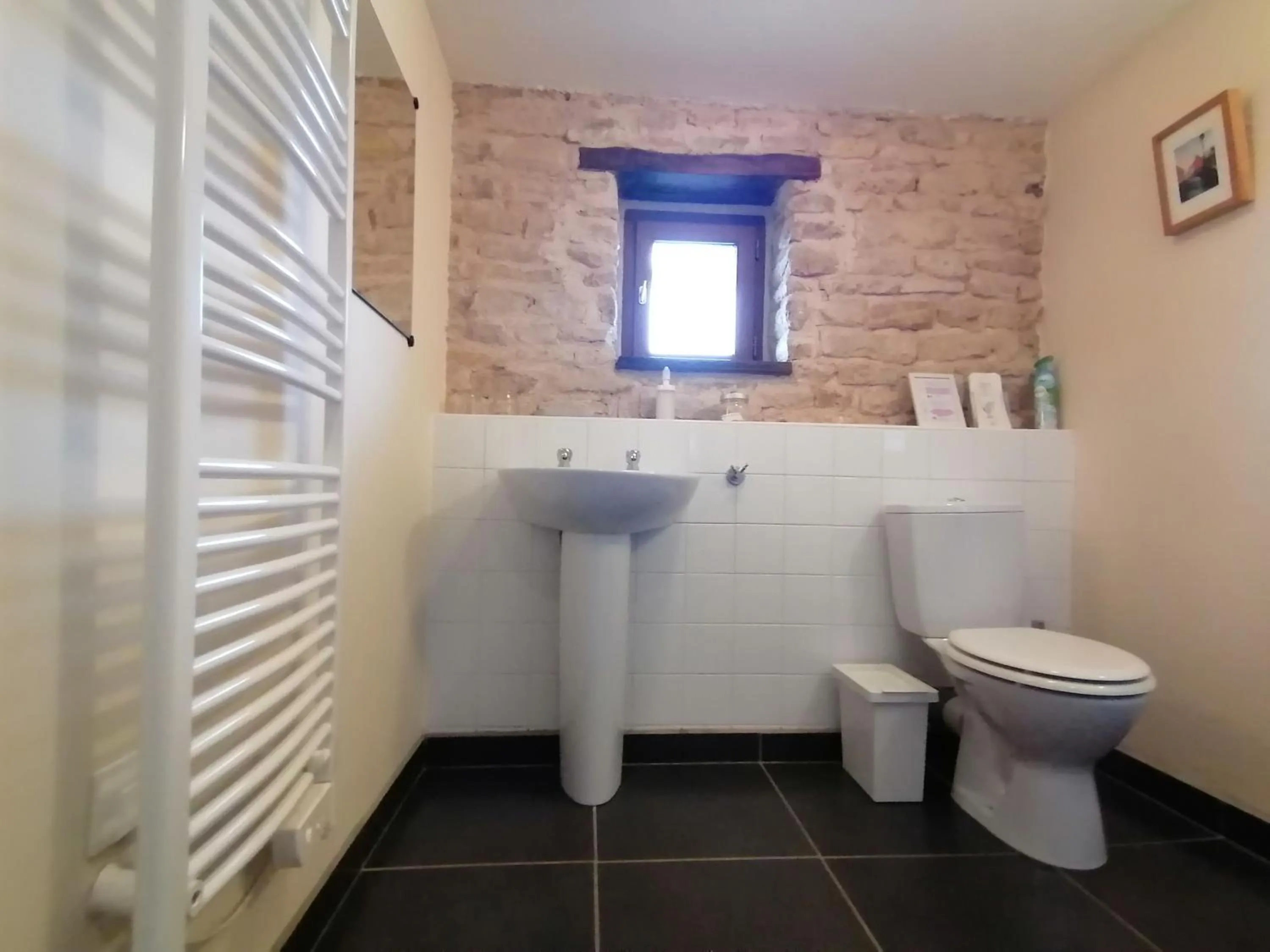 Toilet in La Vieille Gorce Chambres d'Hôtes near Civray