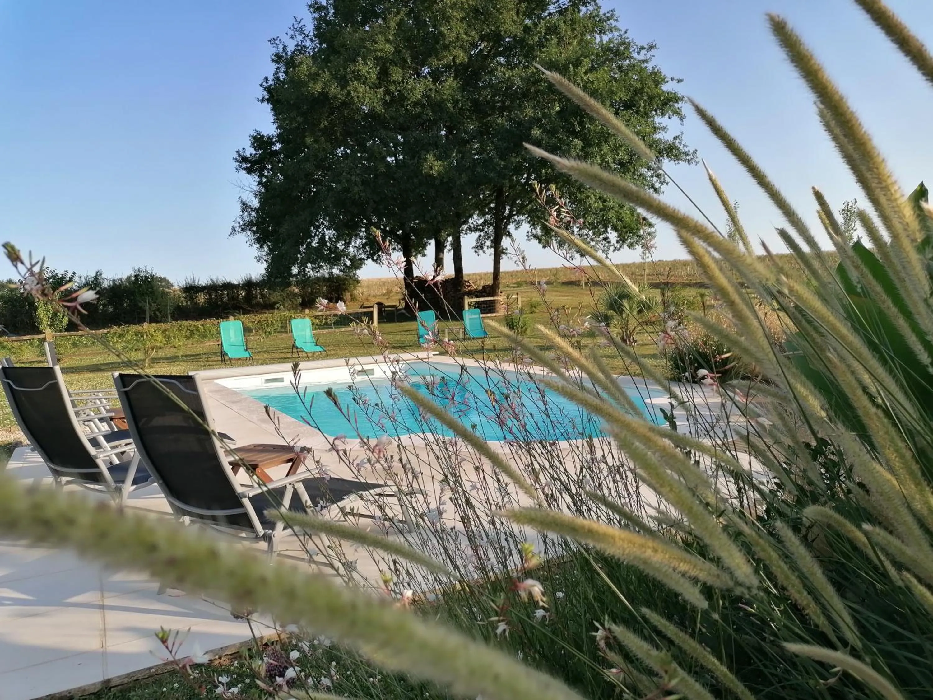 Swimming pool in La Vieille Gorce Chambres d'Hôtes near Civray