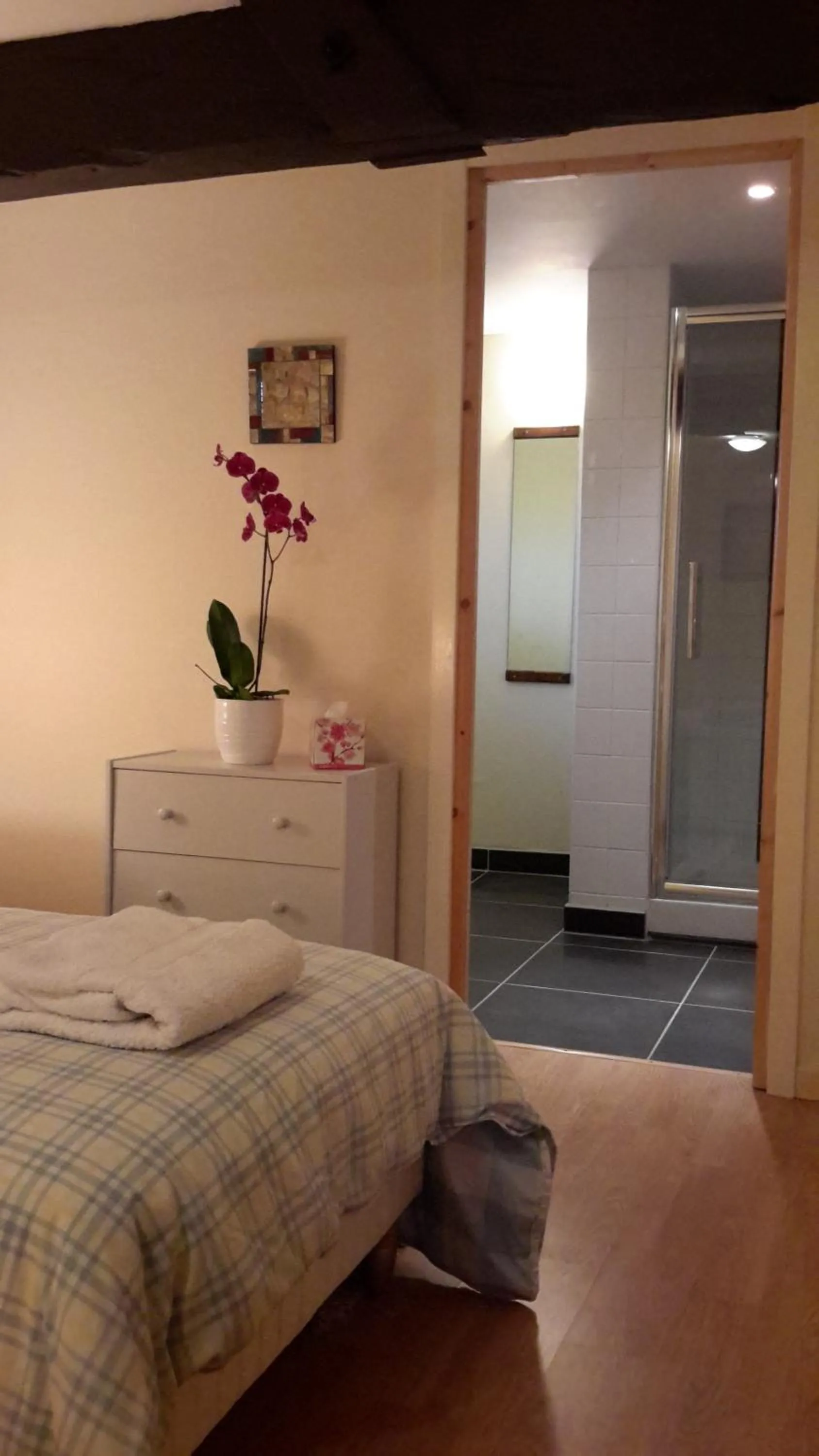 Double or Twin Room with Private Bathroom - single occupancy in La Vieille Gorce - Chambres d'Hôtes in the Vienne