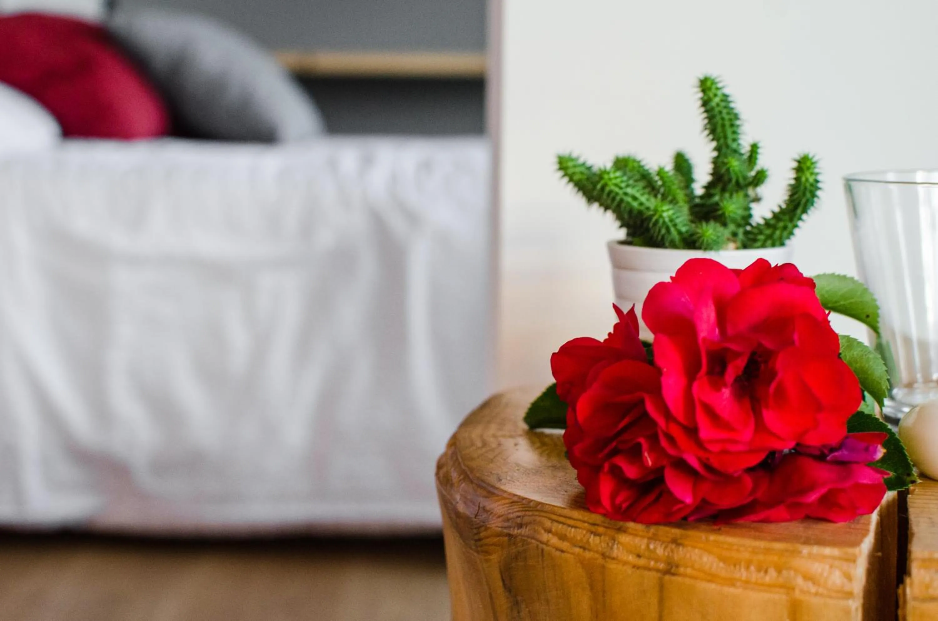 Living room, Bed in B&B Lupo